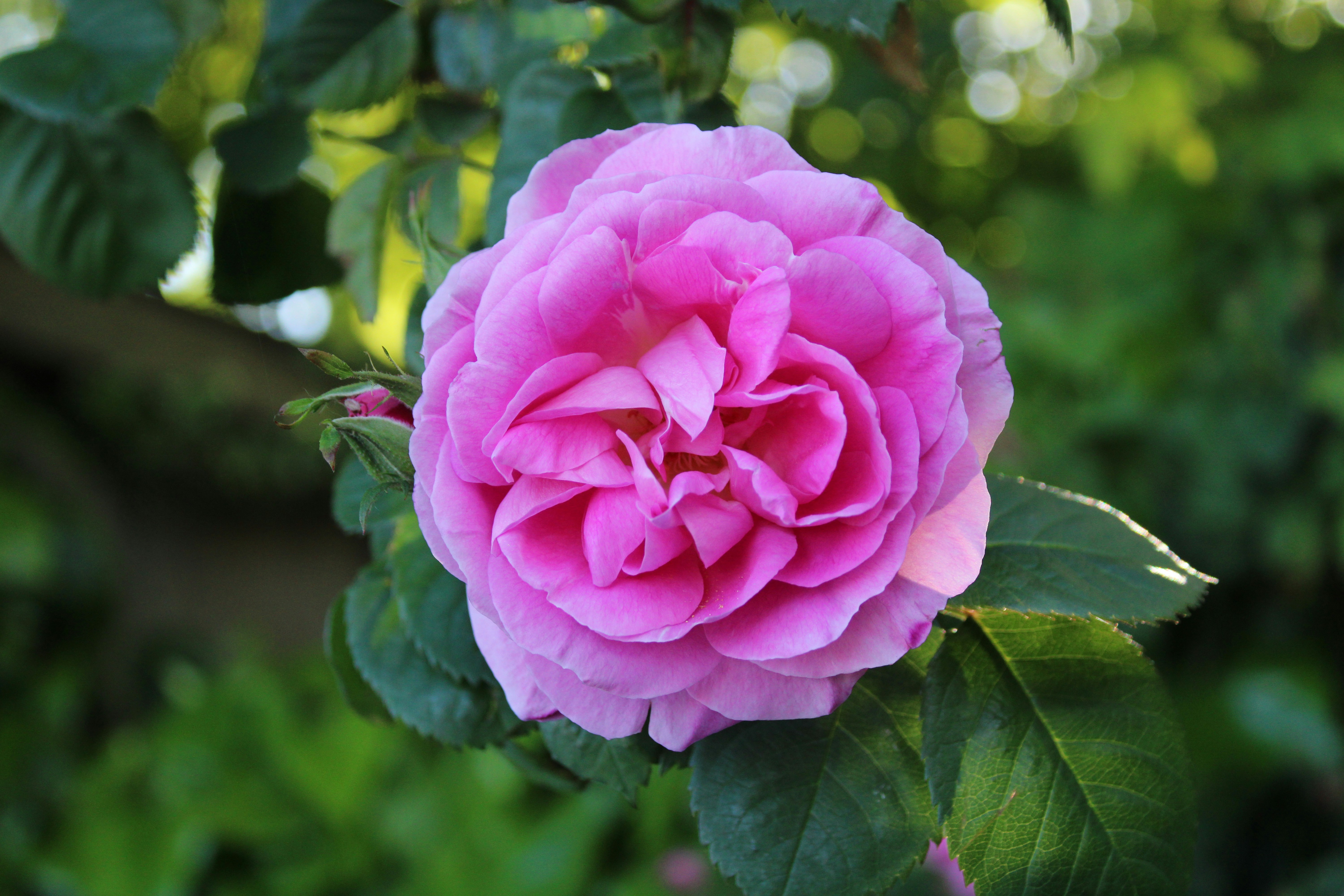 Photo by balesphotographyco