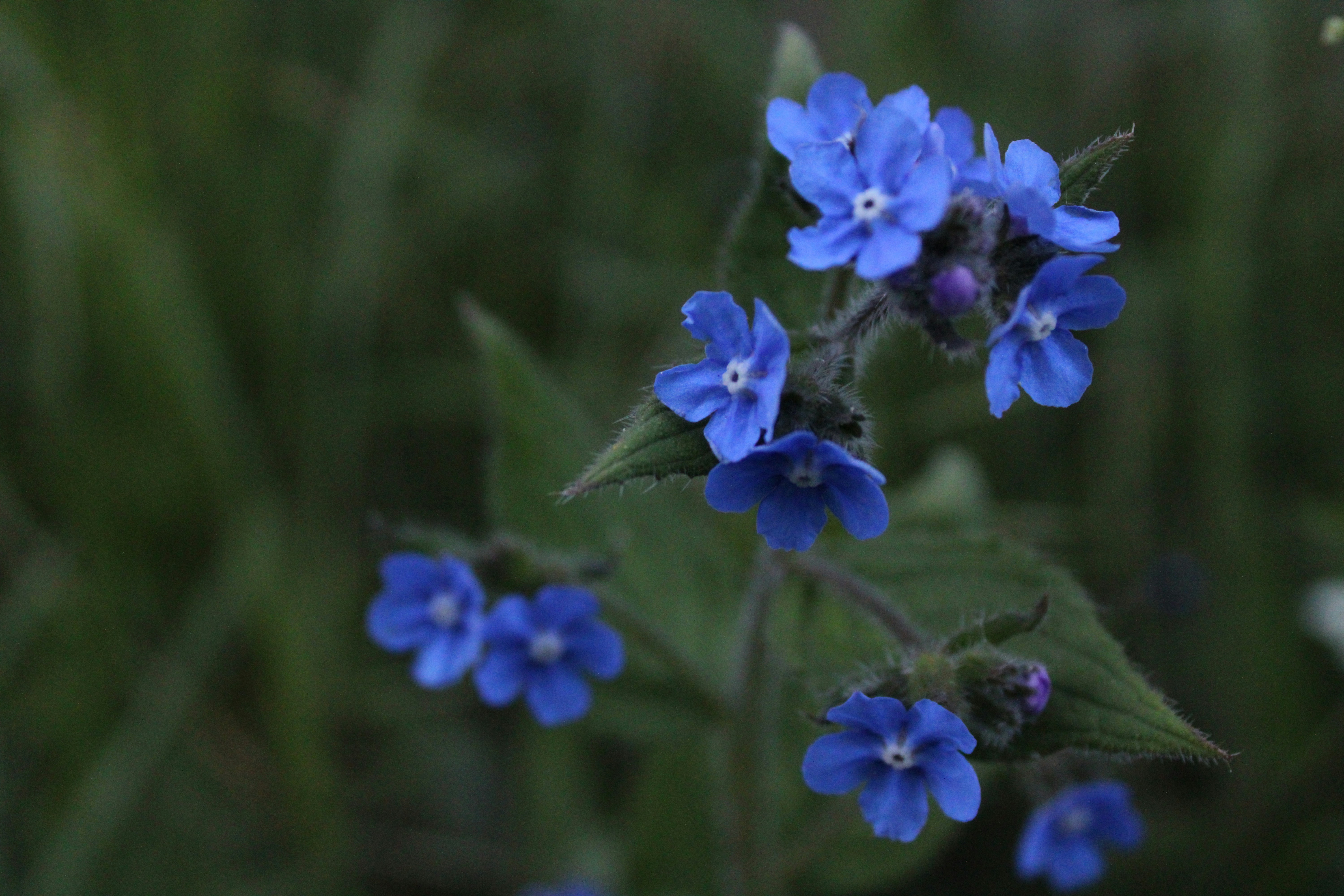 Photo by balesphotographyco