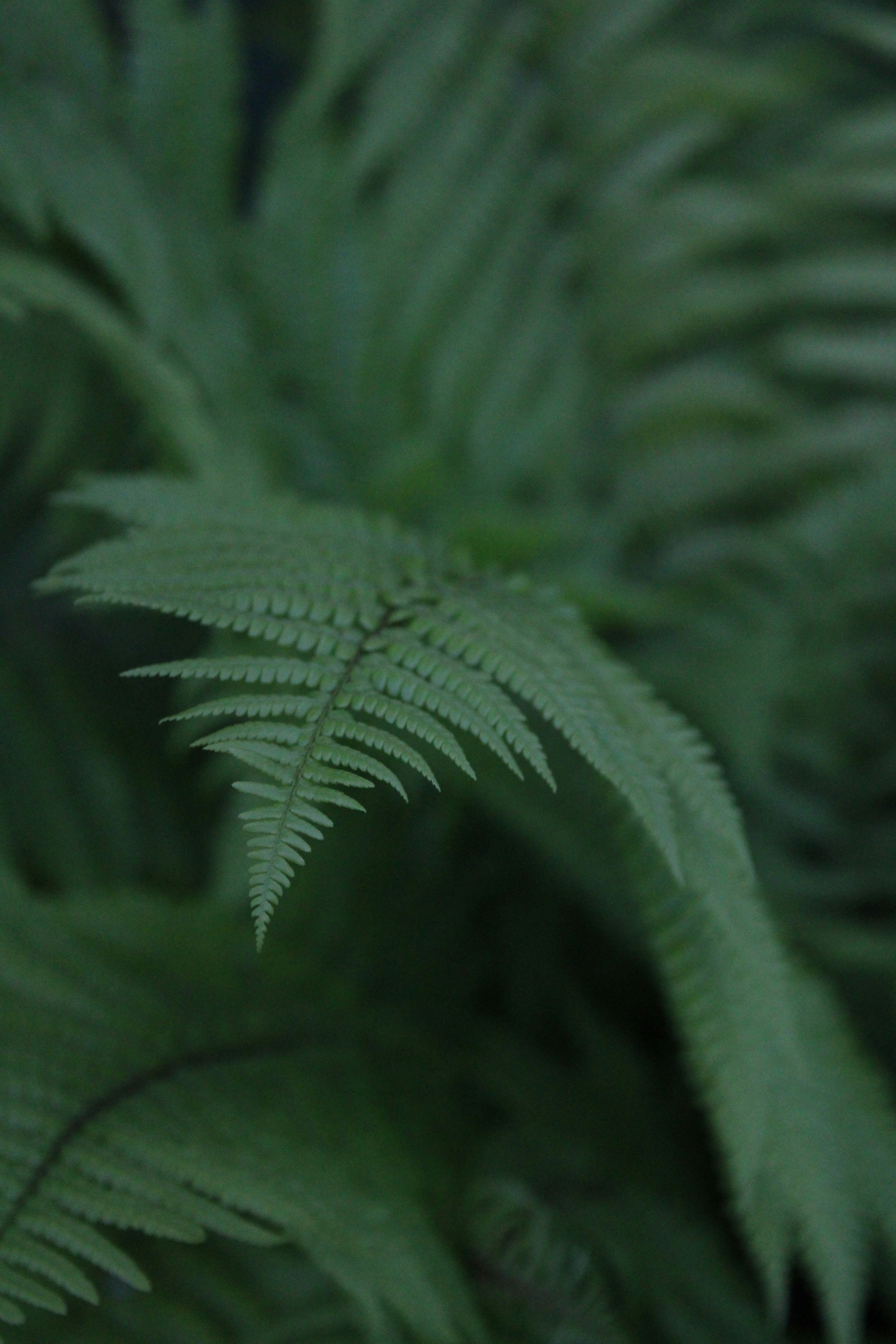 Photo by balesphotographyco