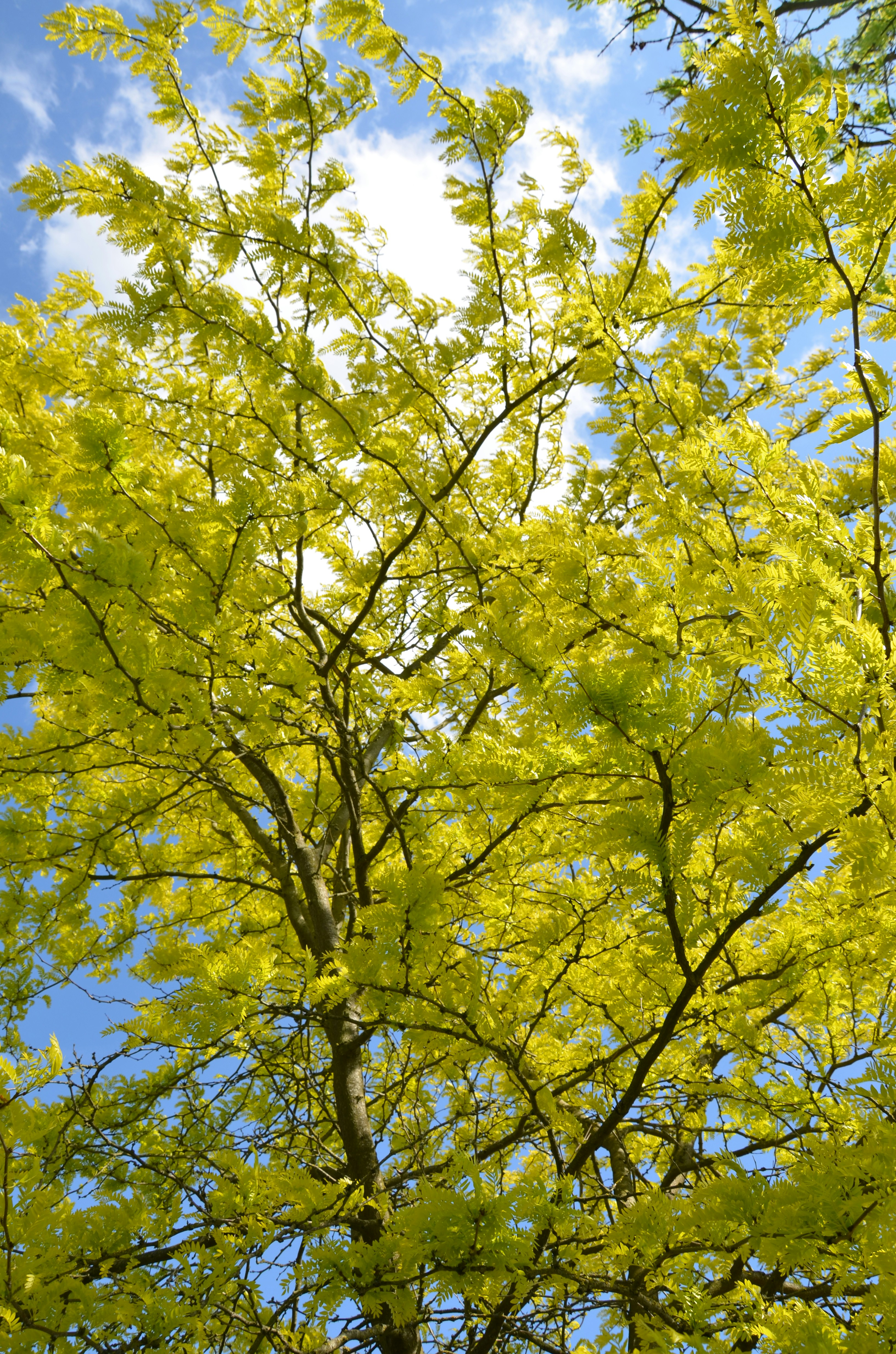 Photo by rosannagaddoni