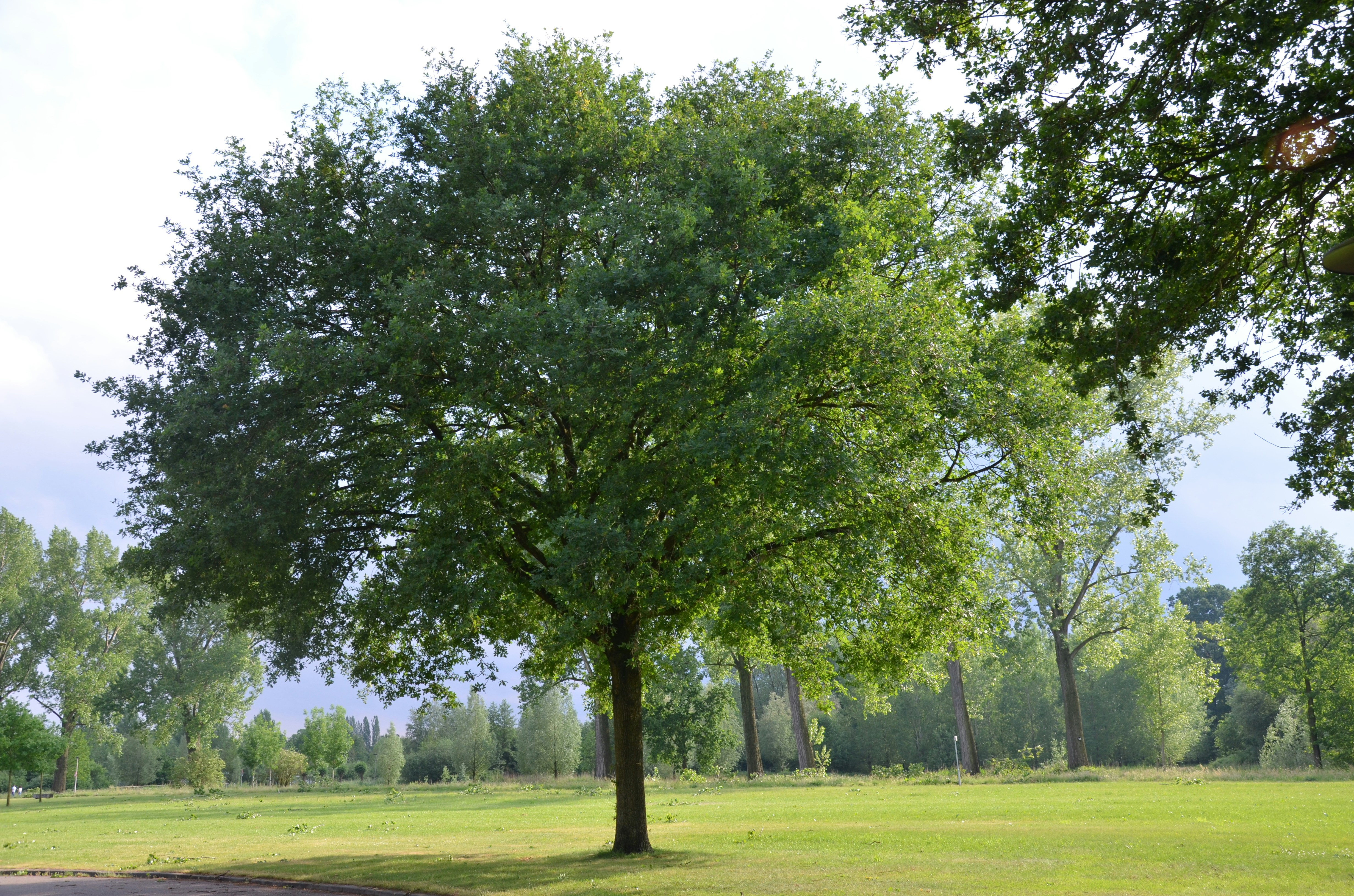 Photo by rosannagaddoni