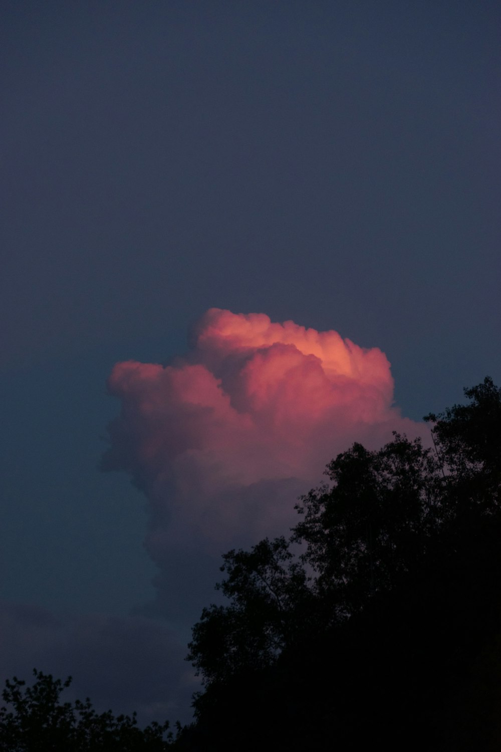 a pink cloud is in the sky above some trees