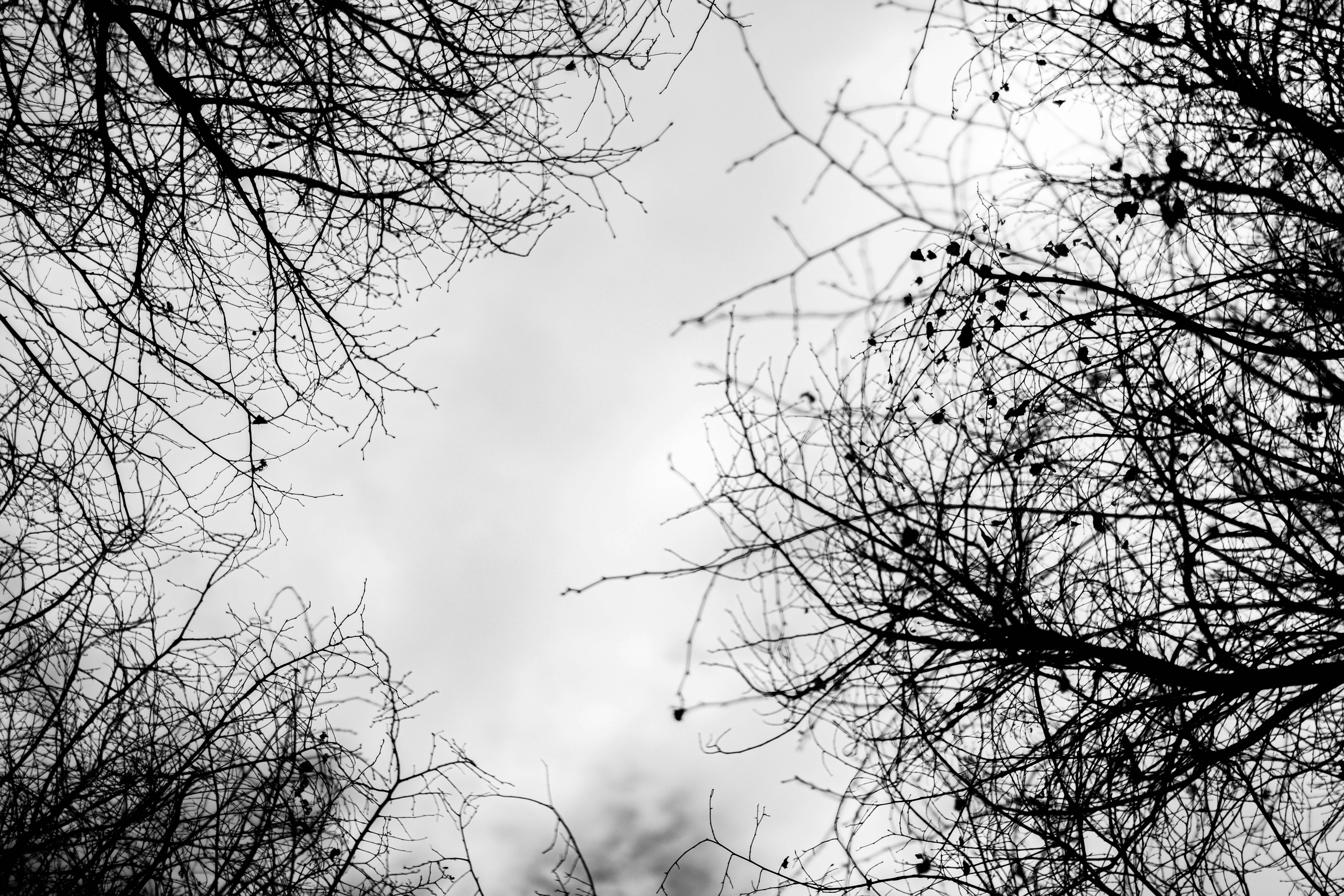 Photo by iraqienkidu