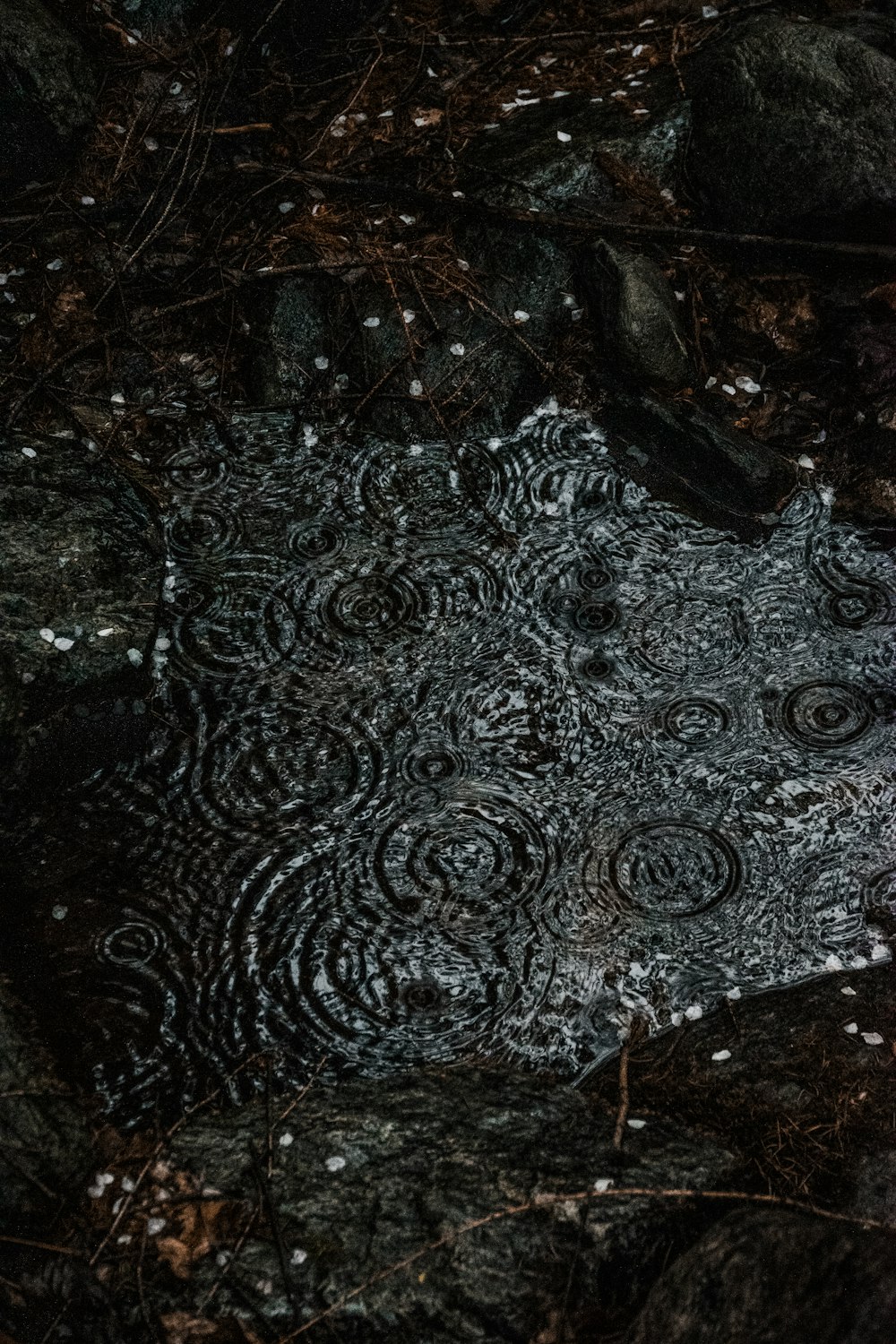 a black and white photo of rocks and water