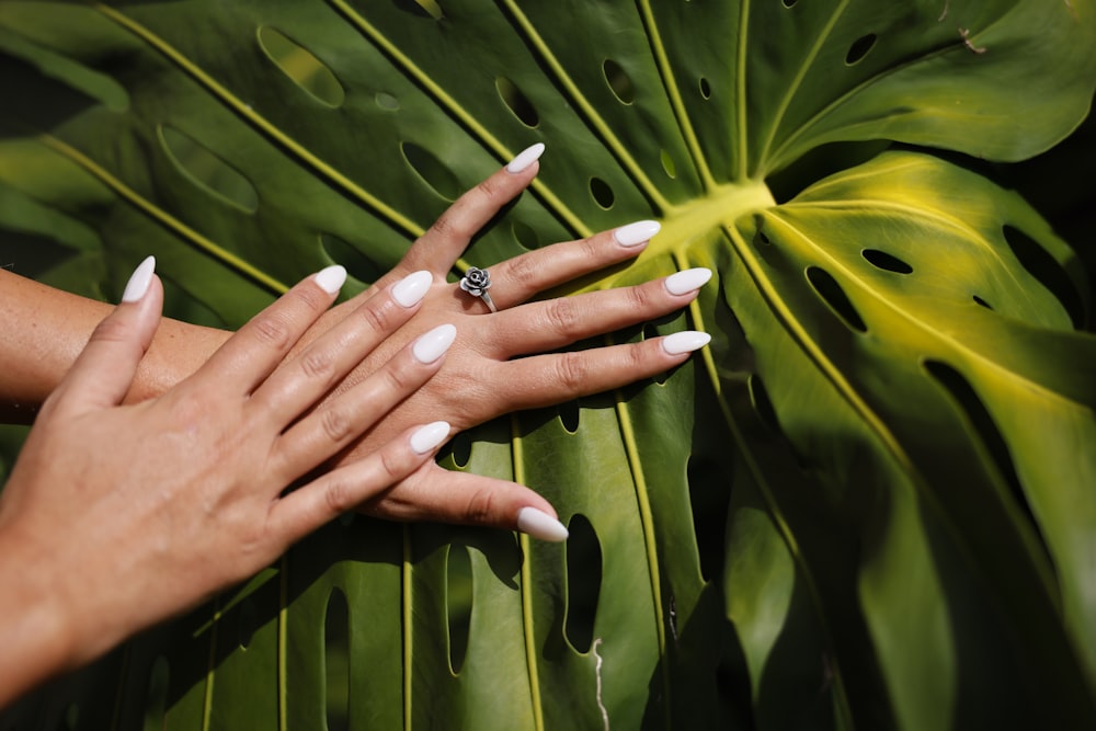 a woman's hands with white manicures and a ring
