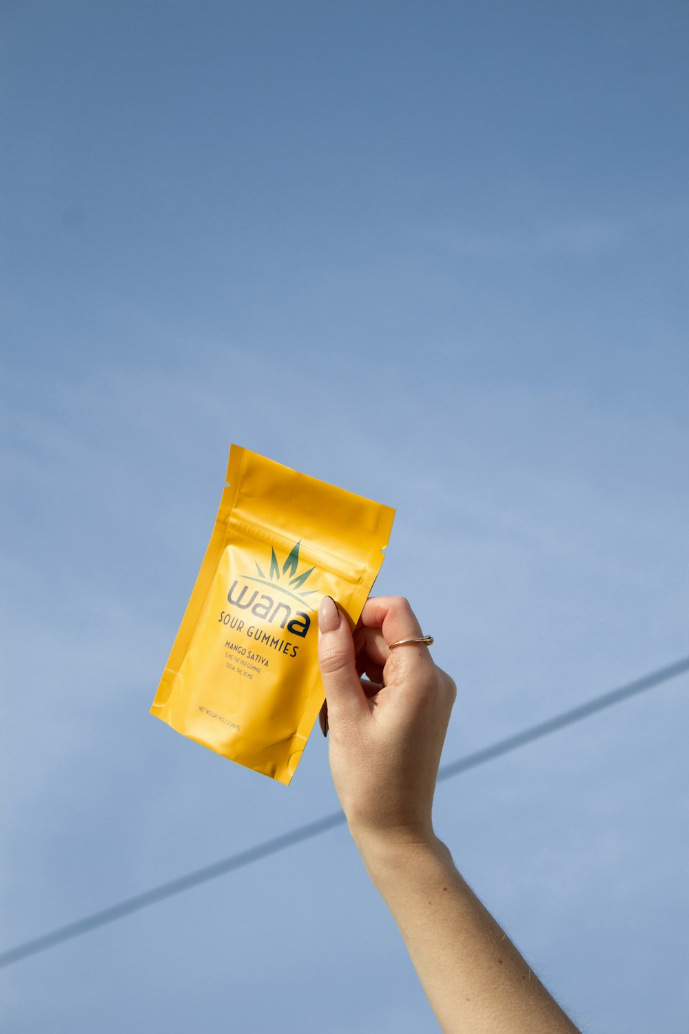 a person holding a yellow bag of food