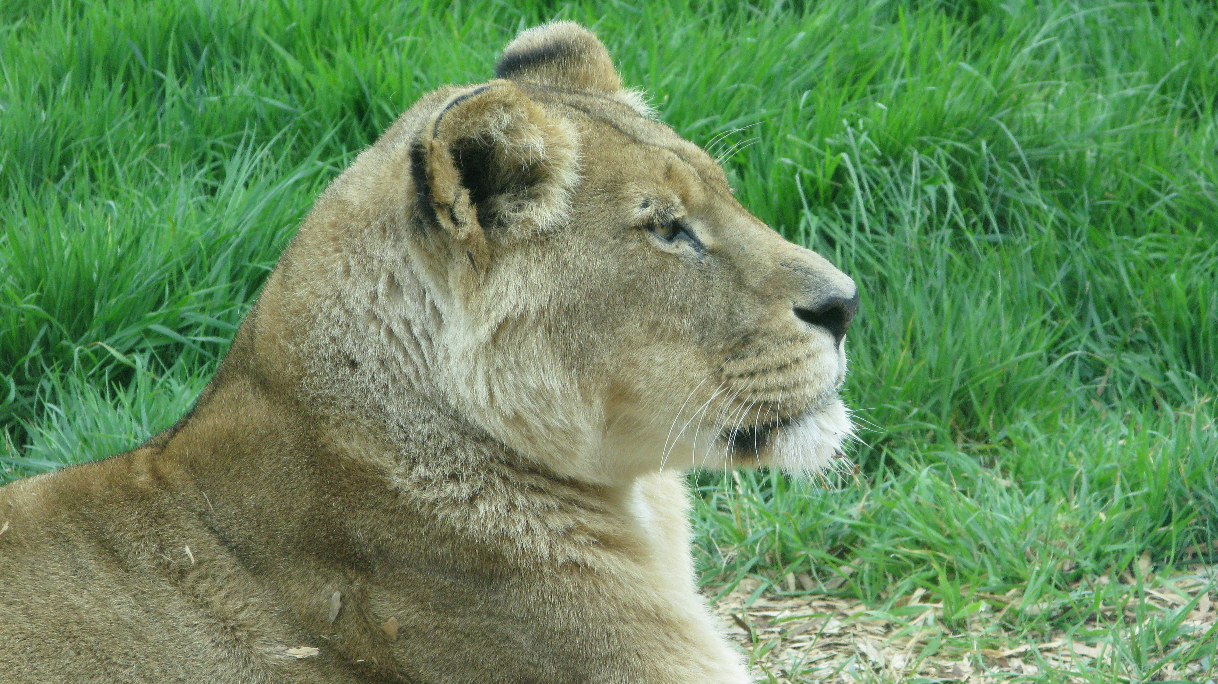 Photo by tom_smeeton