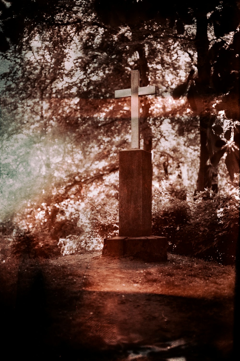Una cruz sentada en medio de un bosque