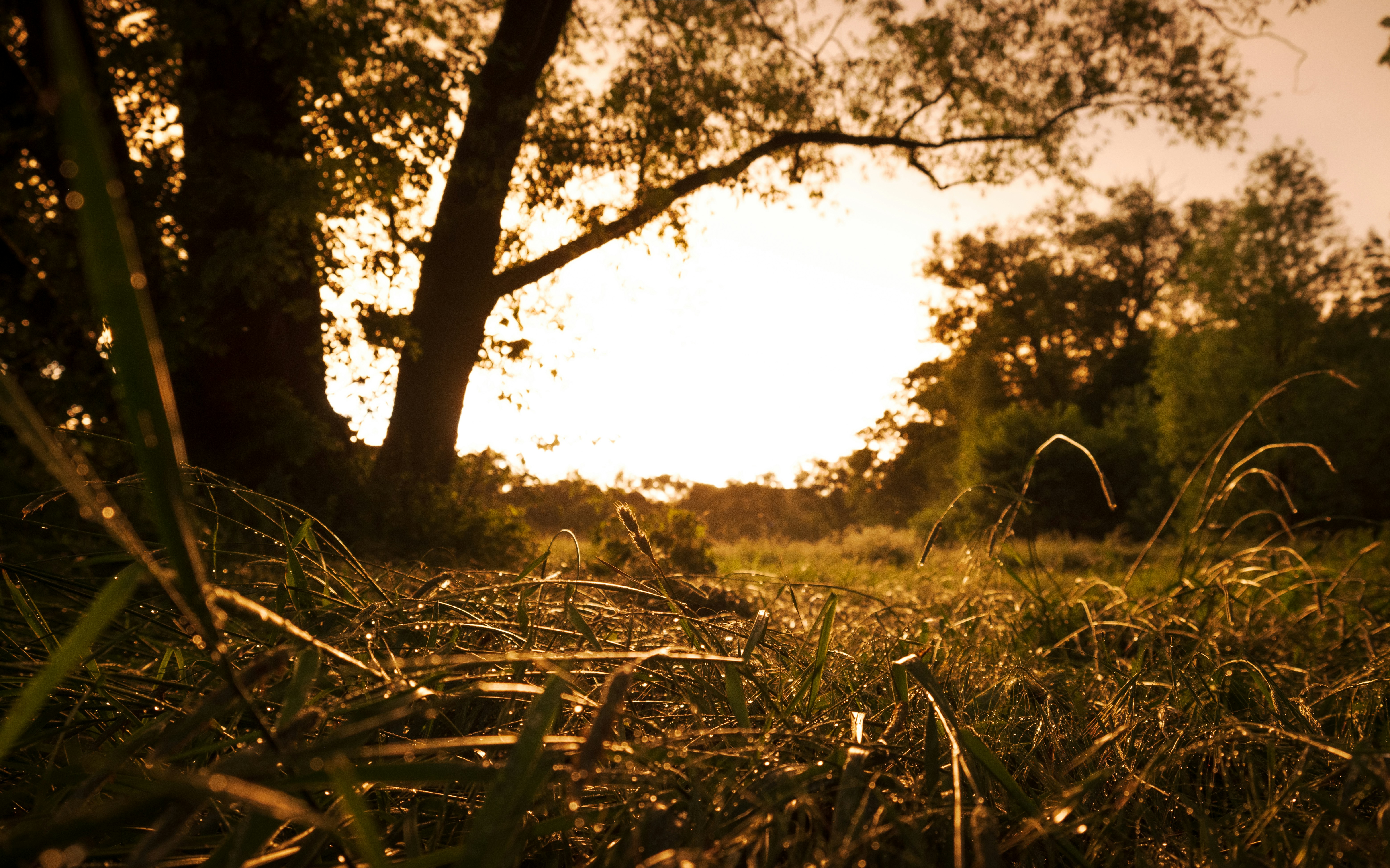 Photo by joshuakettle