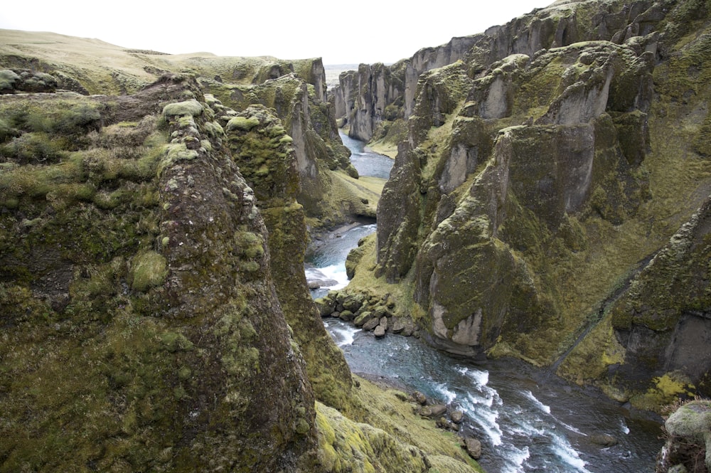 a river running through a lush green canyon