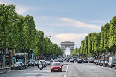 a street lined with trees and a monument in the background