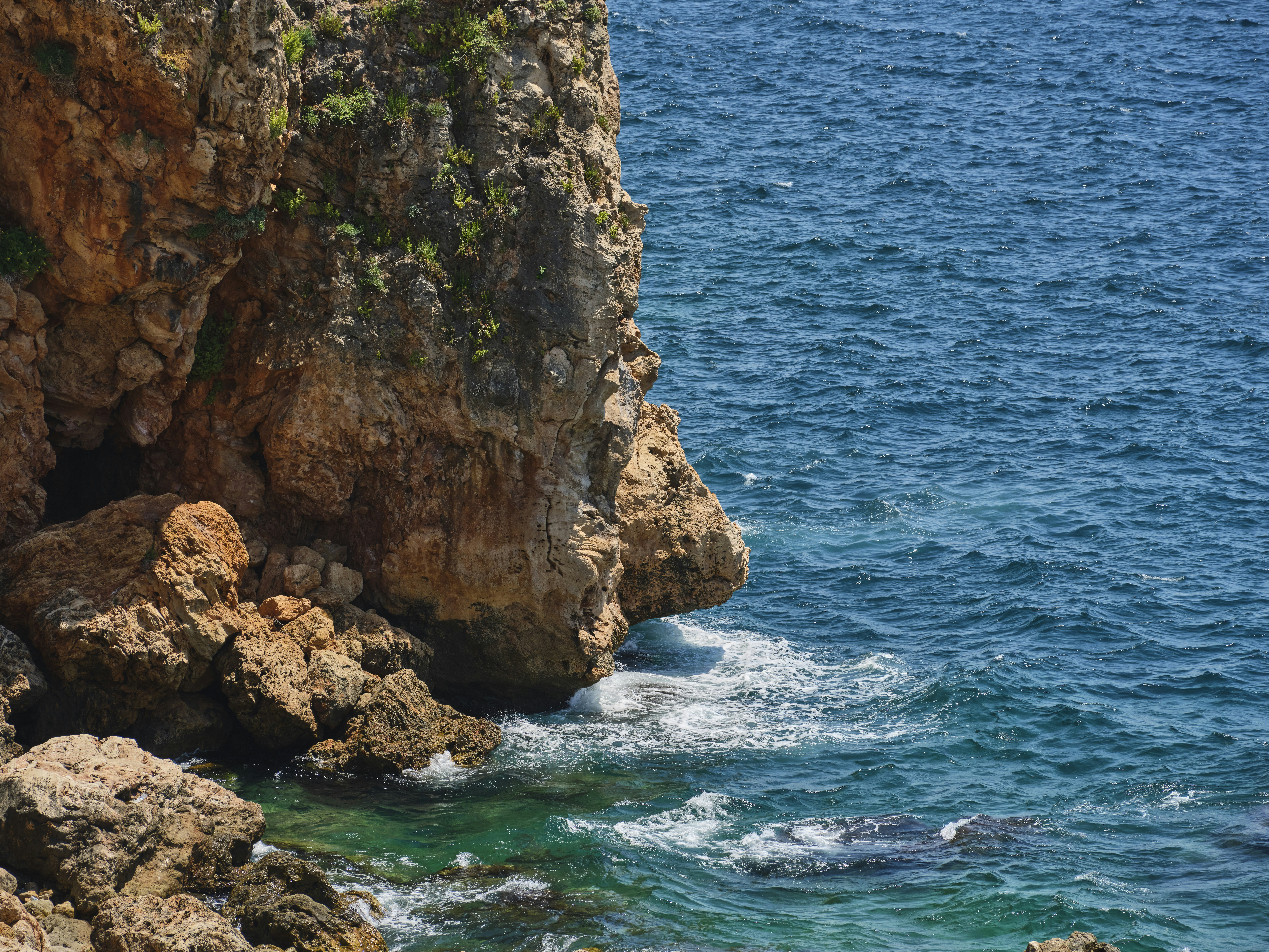 Photo by enginakyurt