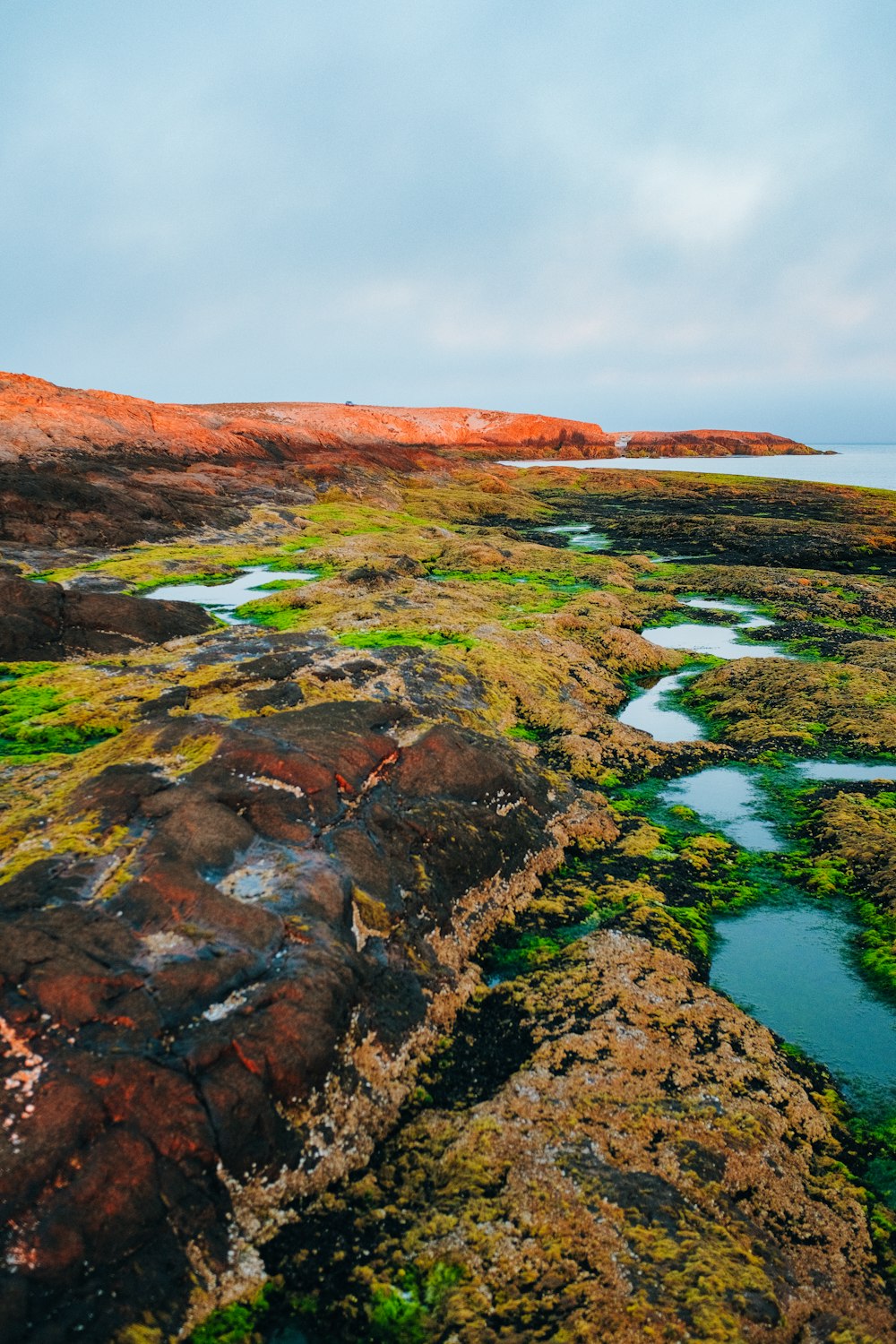 a large body of water surrounded by rocks and grass