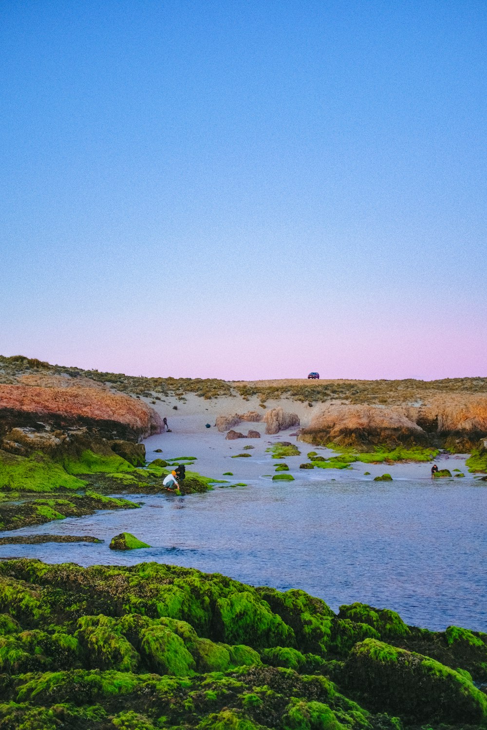 a body of water surrounded by lush green grass