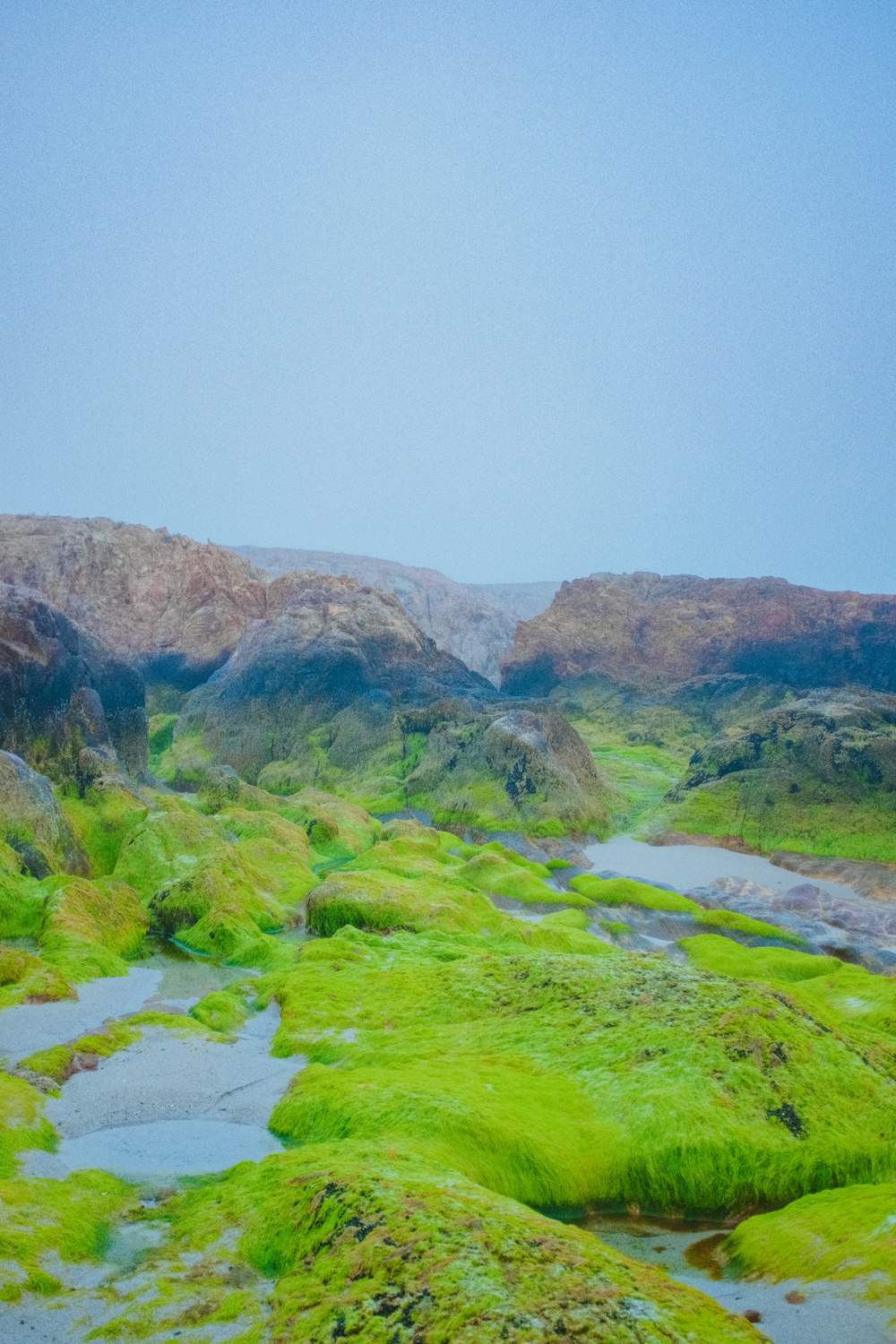 a river running through a lush green valley