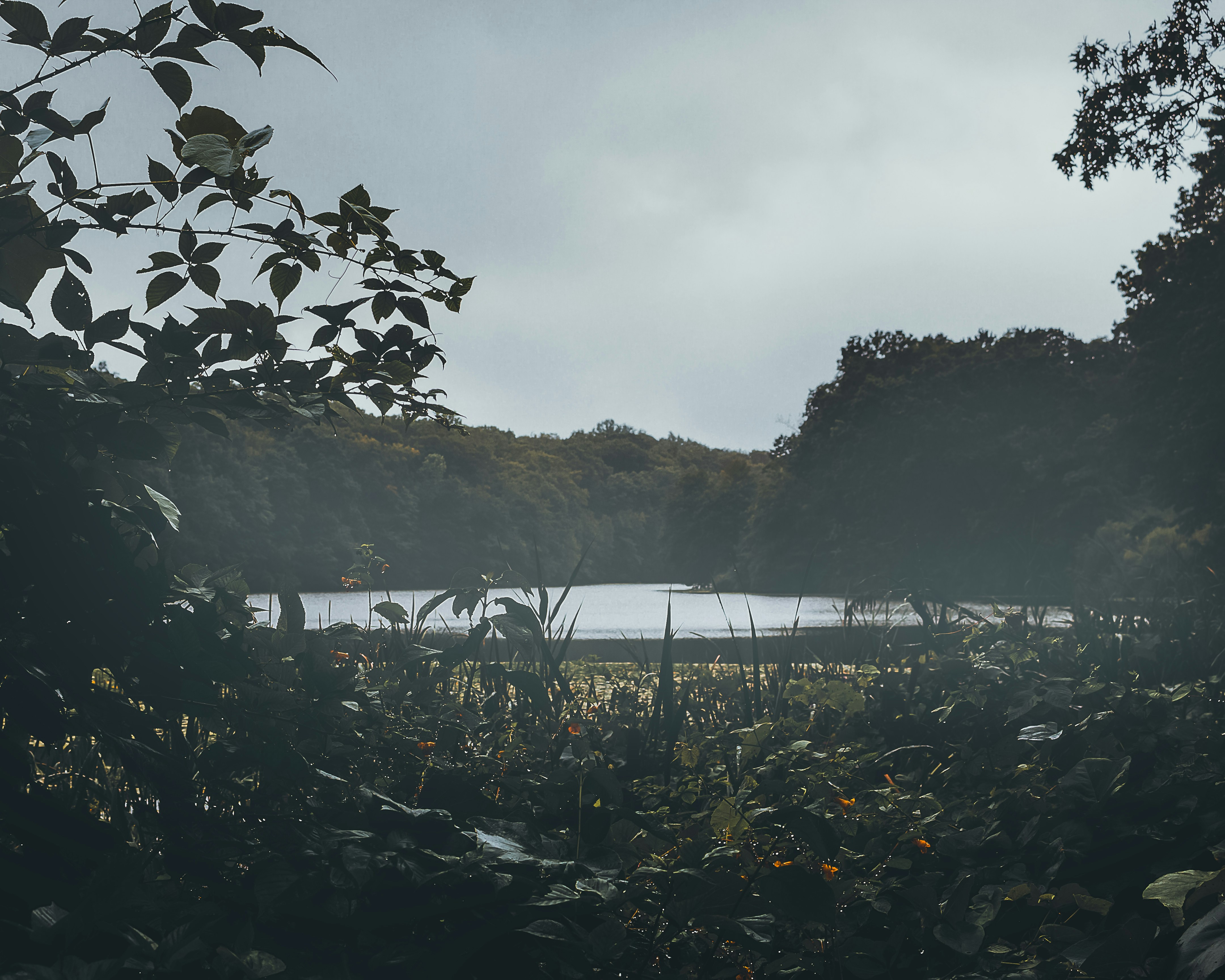 Photo by emmanuelphaeton