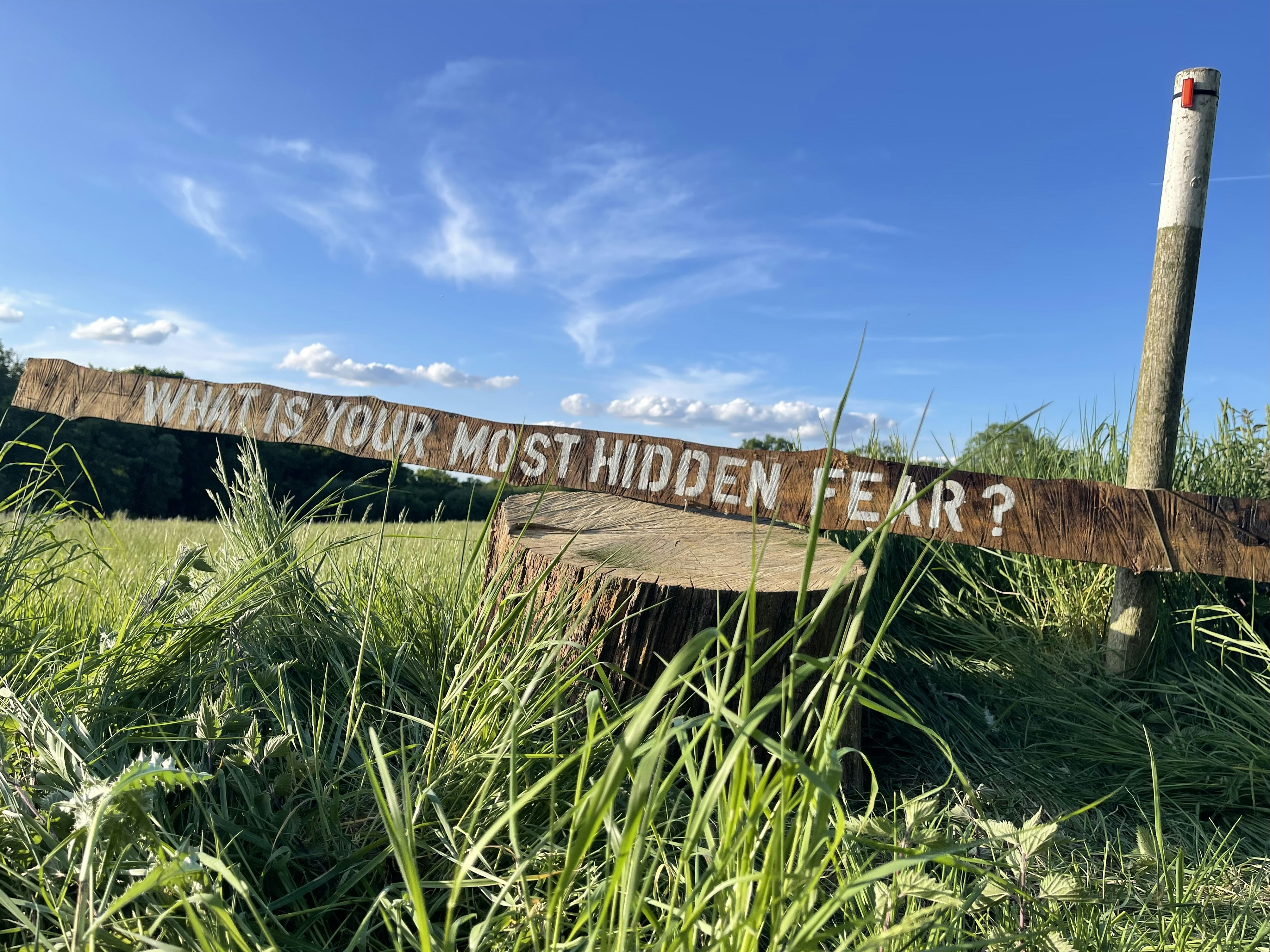 엘리베이터가 추락하는 꿈과 그 의미 다양한 해석