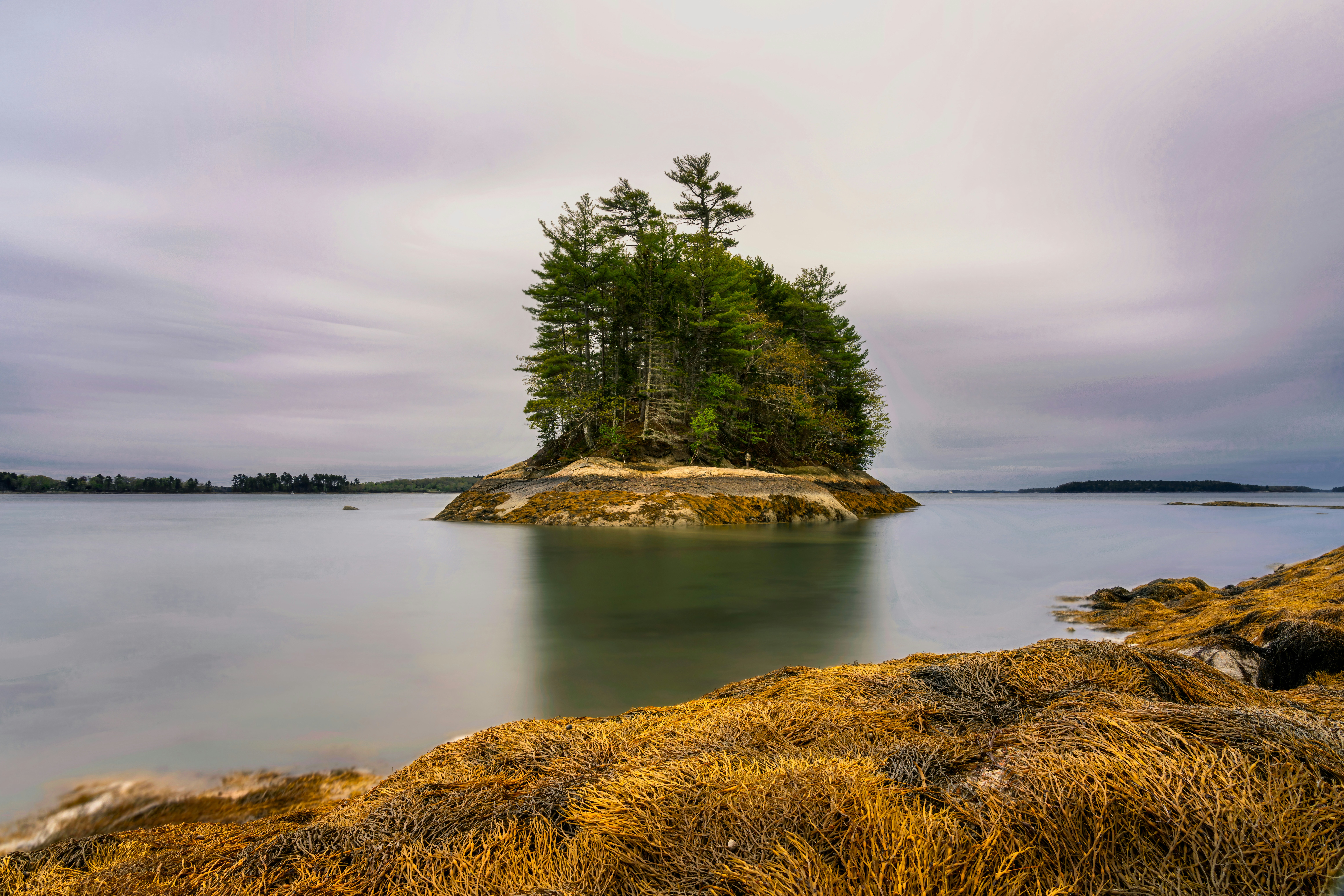 Photo by skylerewing