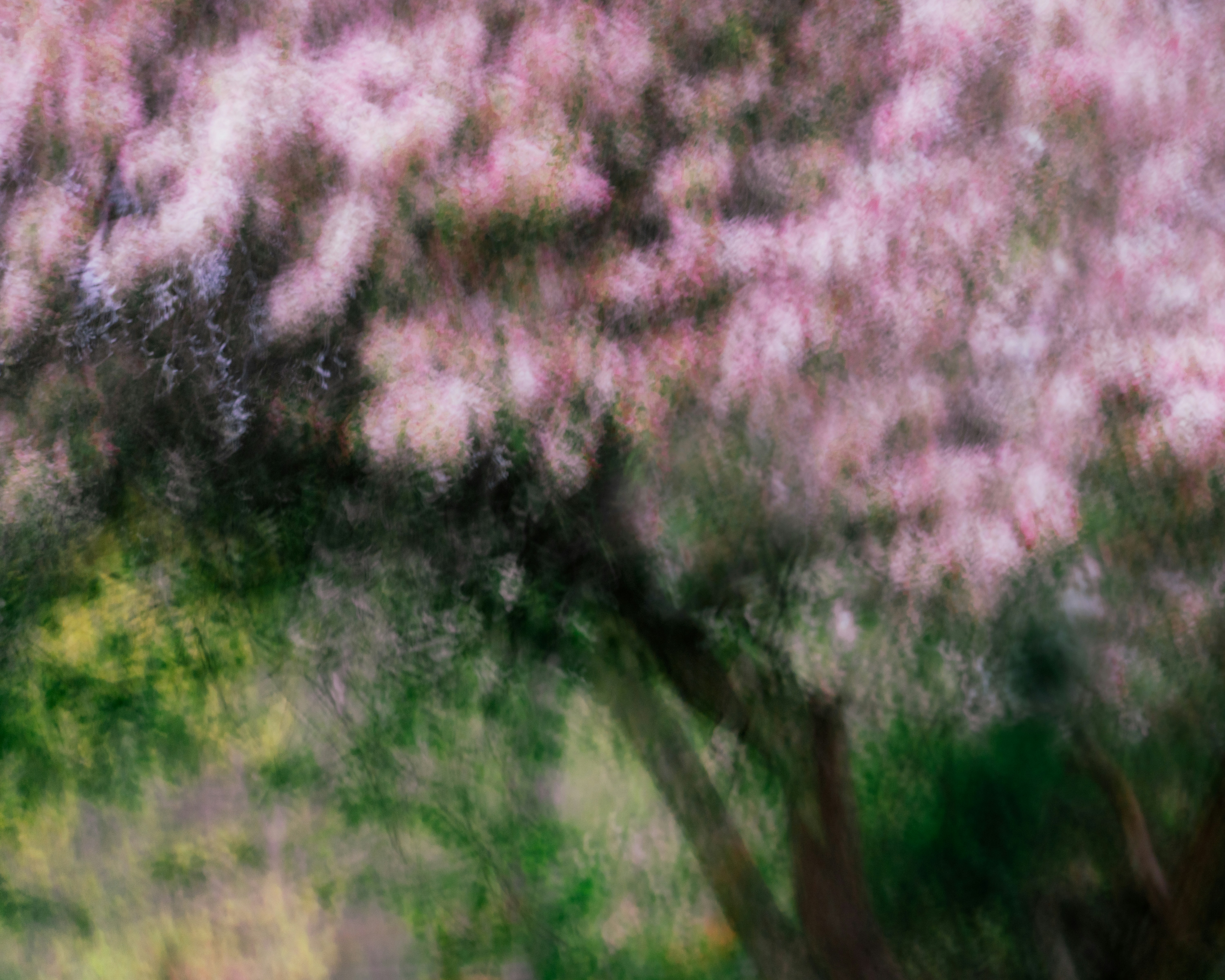 Photo by skylerewing