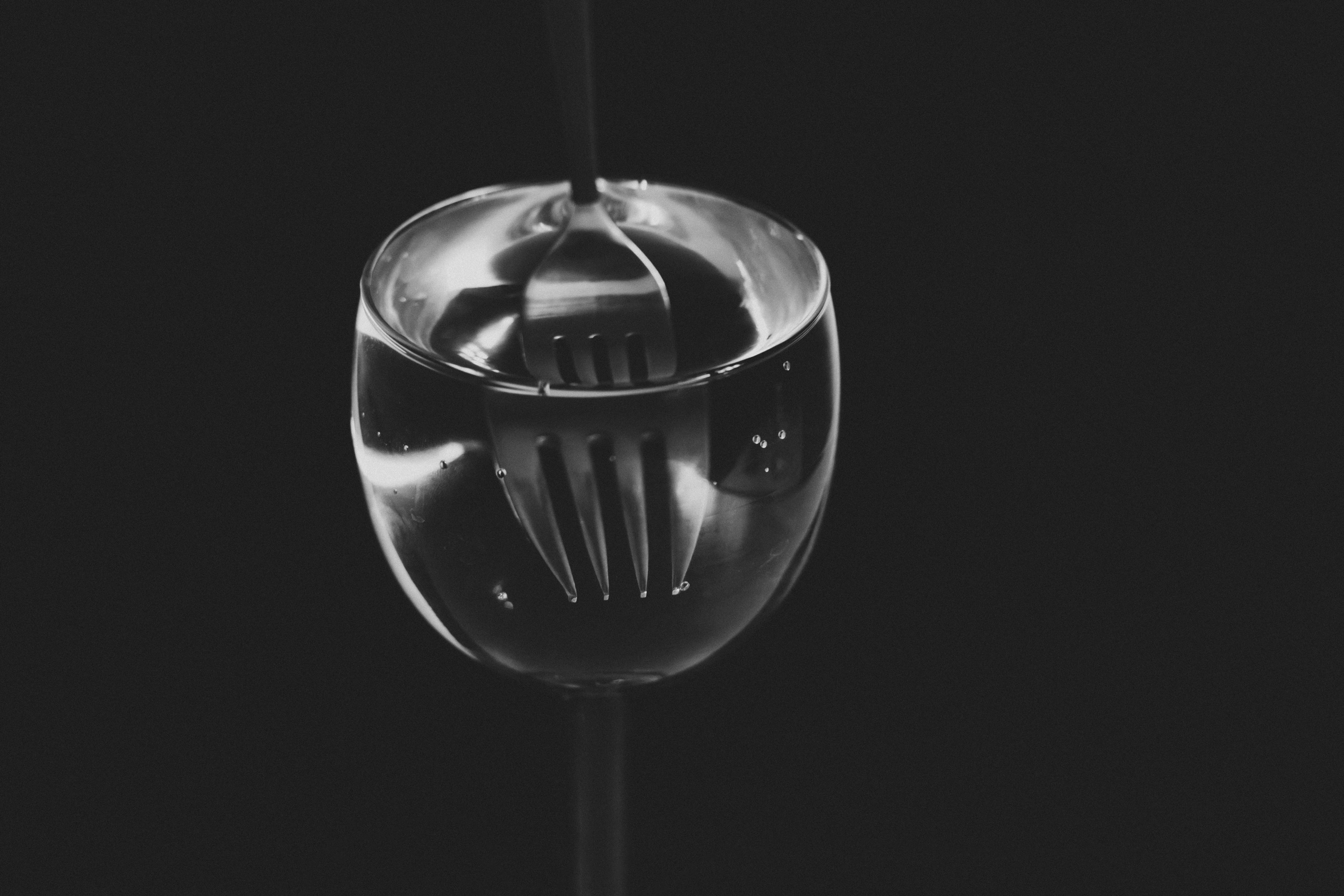 Photo by cheetahicon