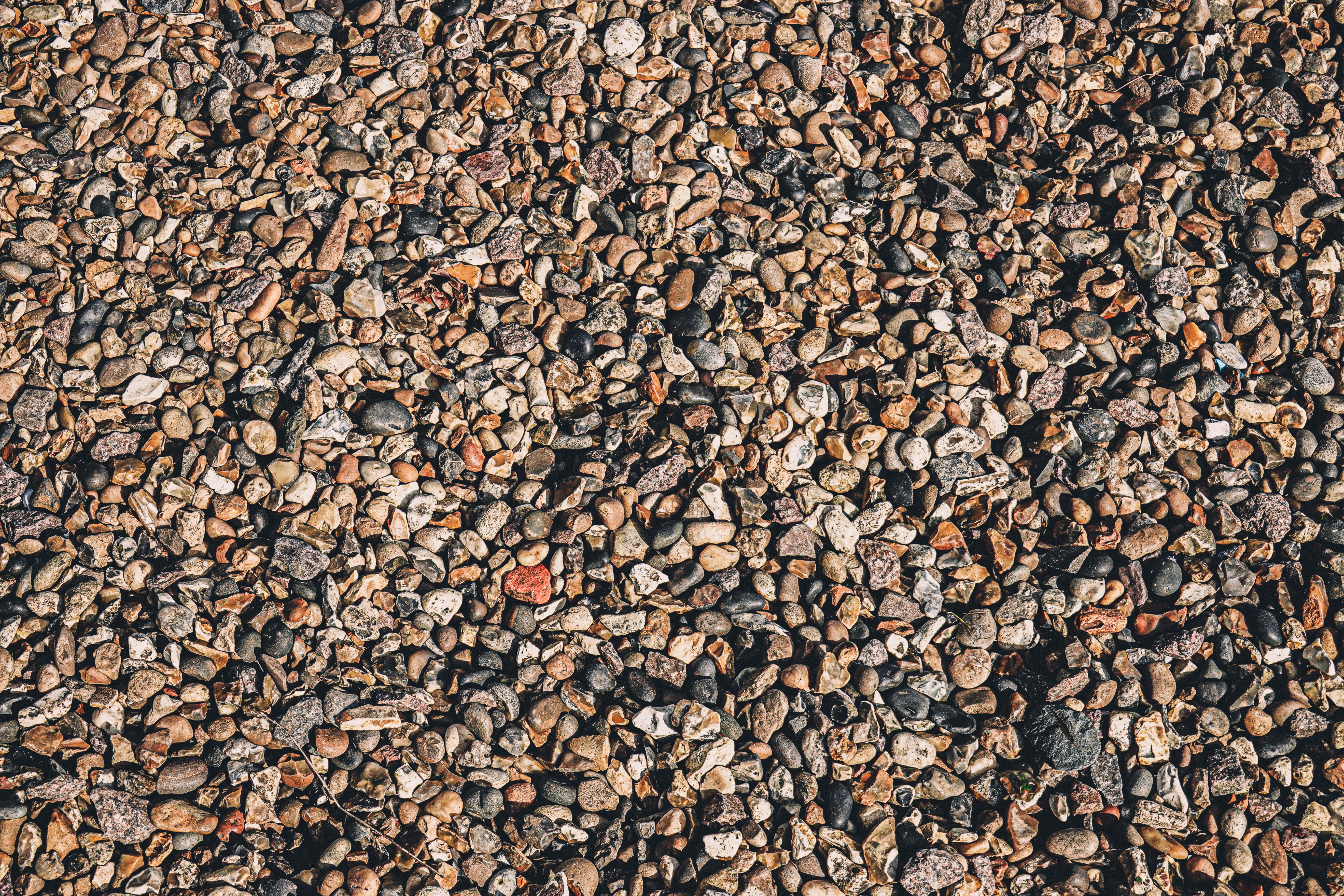 Photo by reganography