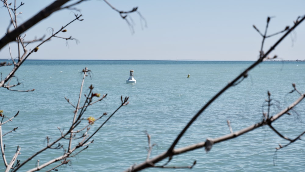 a sailboat in the middle of the ocean