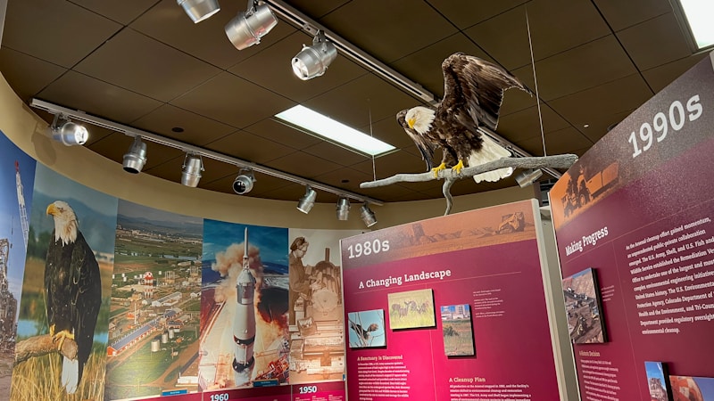 Zamki w Polsce – Przewodnik po Wydarzeniach i Atrakcjach