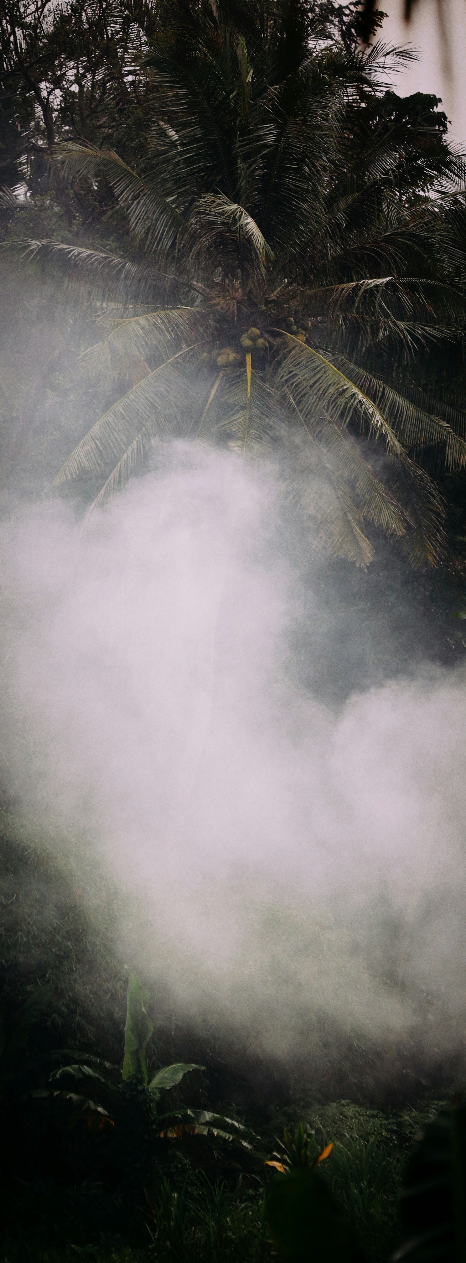 Photo by alexeydemidov