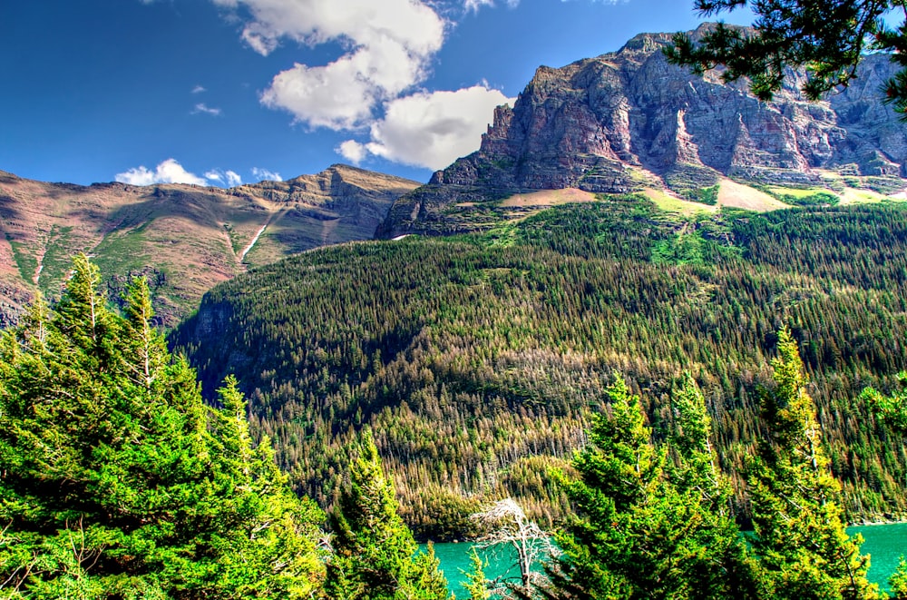 Una vista panorámica de un lago de montaña rodeado de árboles