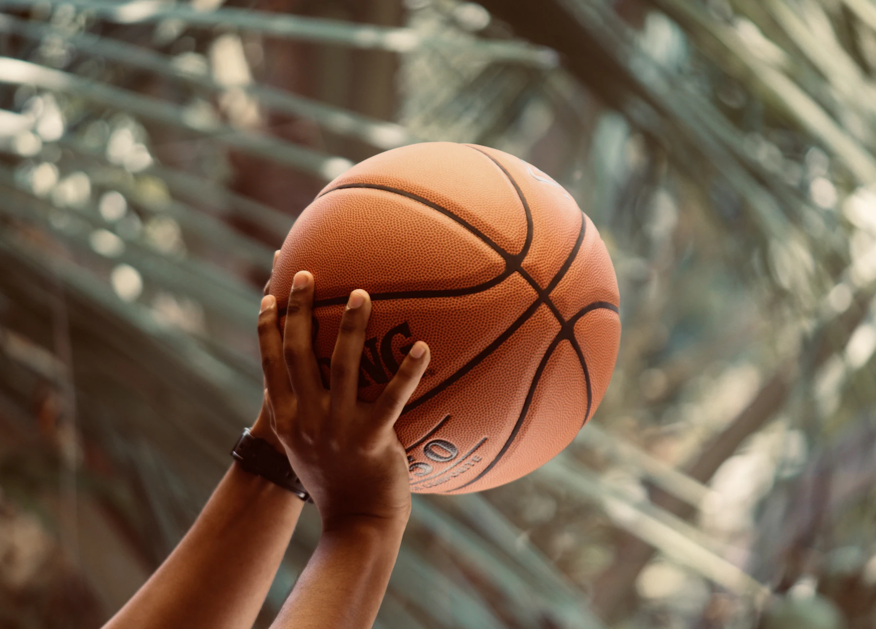 Two hands lifting a basketball to shoot, palm fronds blurred behind