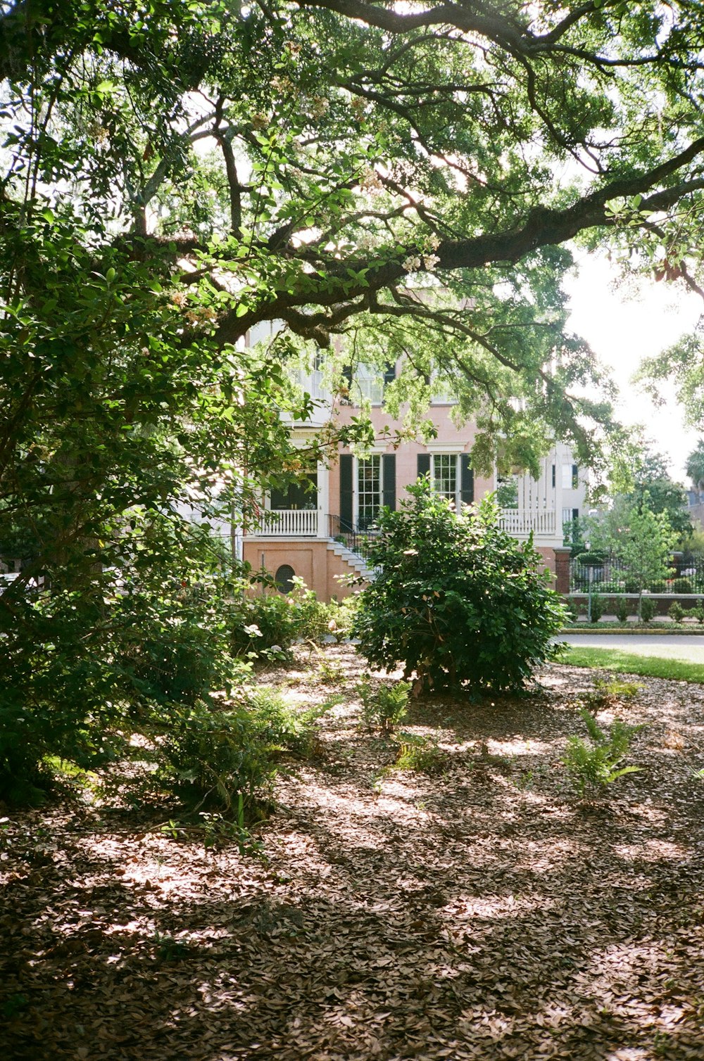 a house is seen through the trees on a sunny day