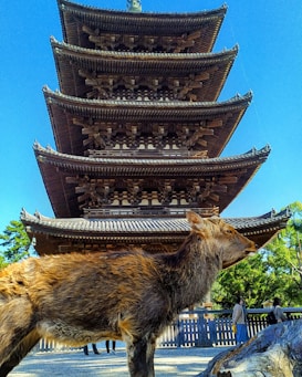A majestic deer stands in front of a traditional multi-tiered pagoda, with intricate wooden architecture and a bright blue sky in the background. Trees and a few people are visible in the vicinity, adding to the serene and cultural atmosphere.