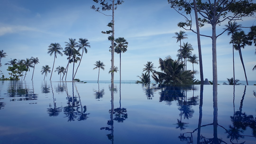 a pool surrounded by palm trees and water, Reflection