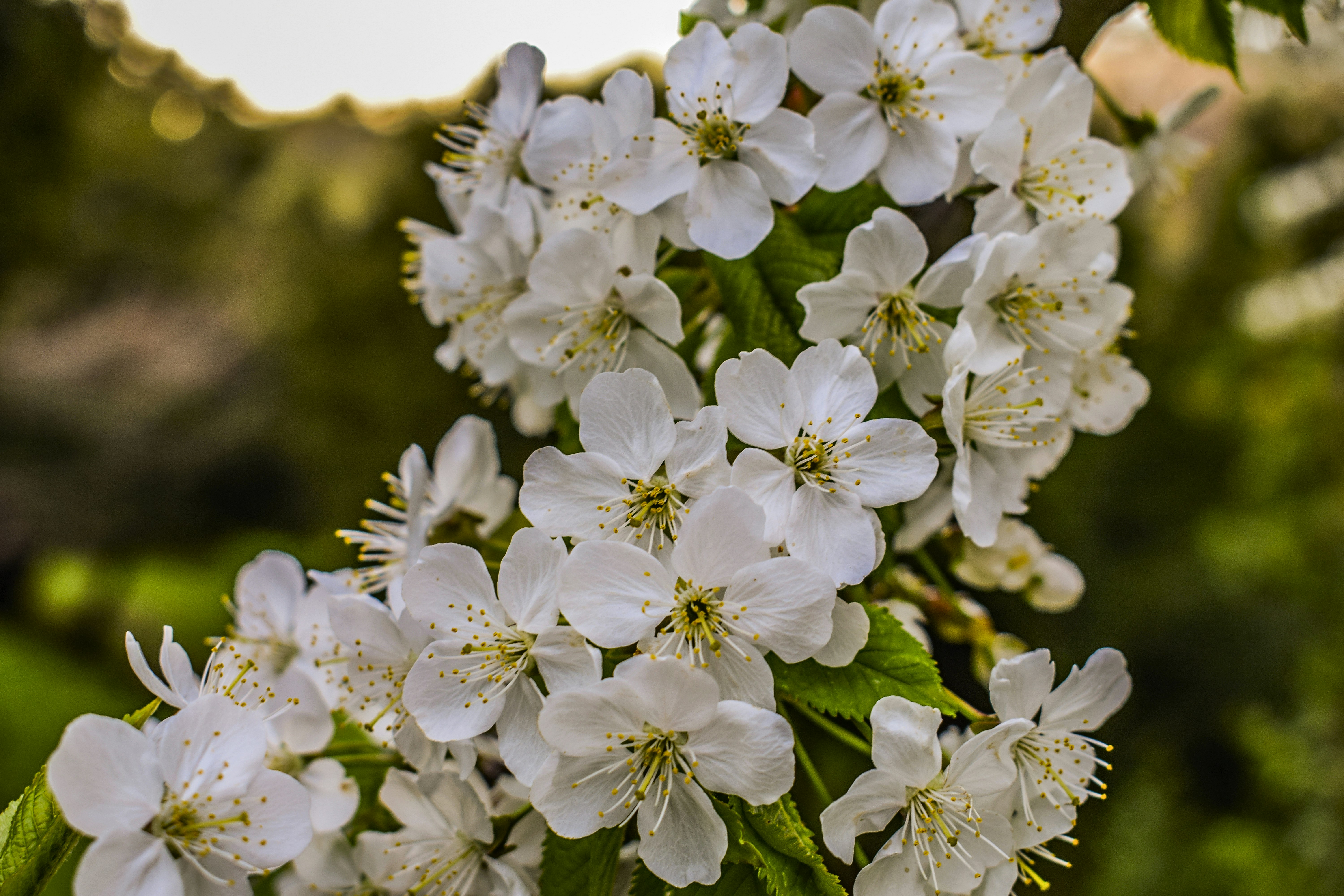 Photo by kostiantynvierkieiev