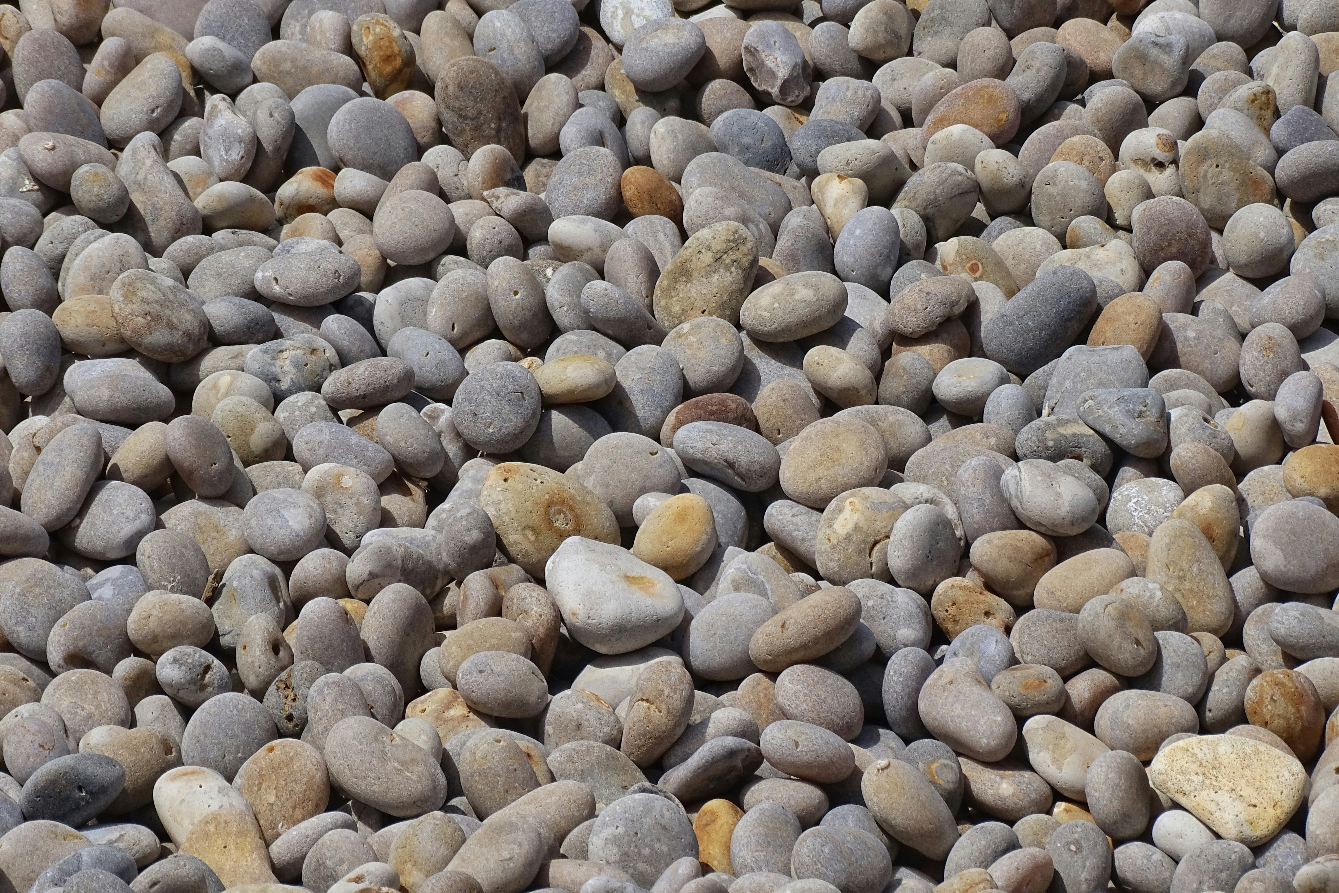 a close up of a bunch of rocks
