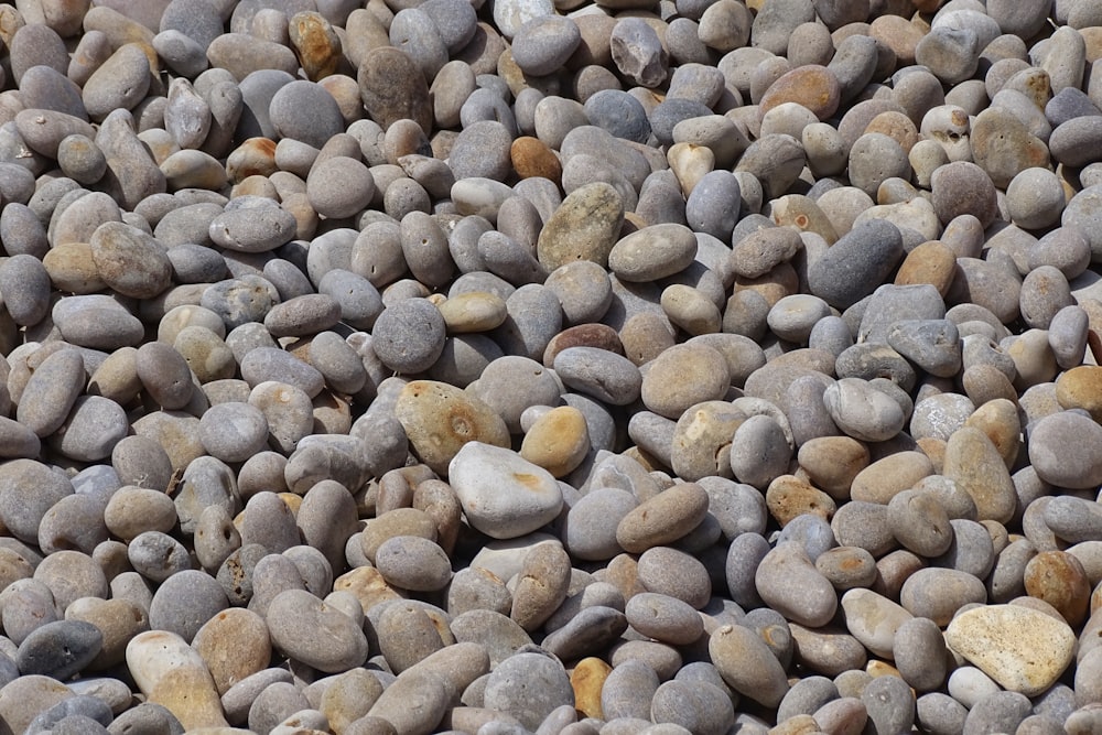 a close up of a bunch of rocks