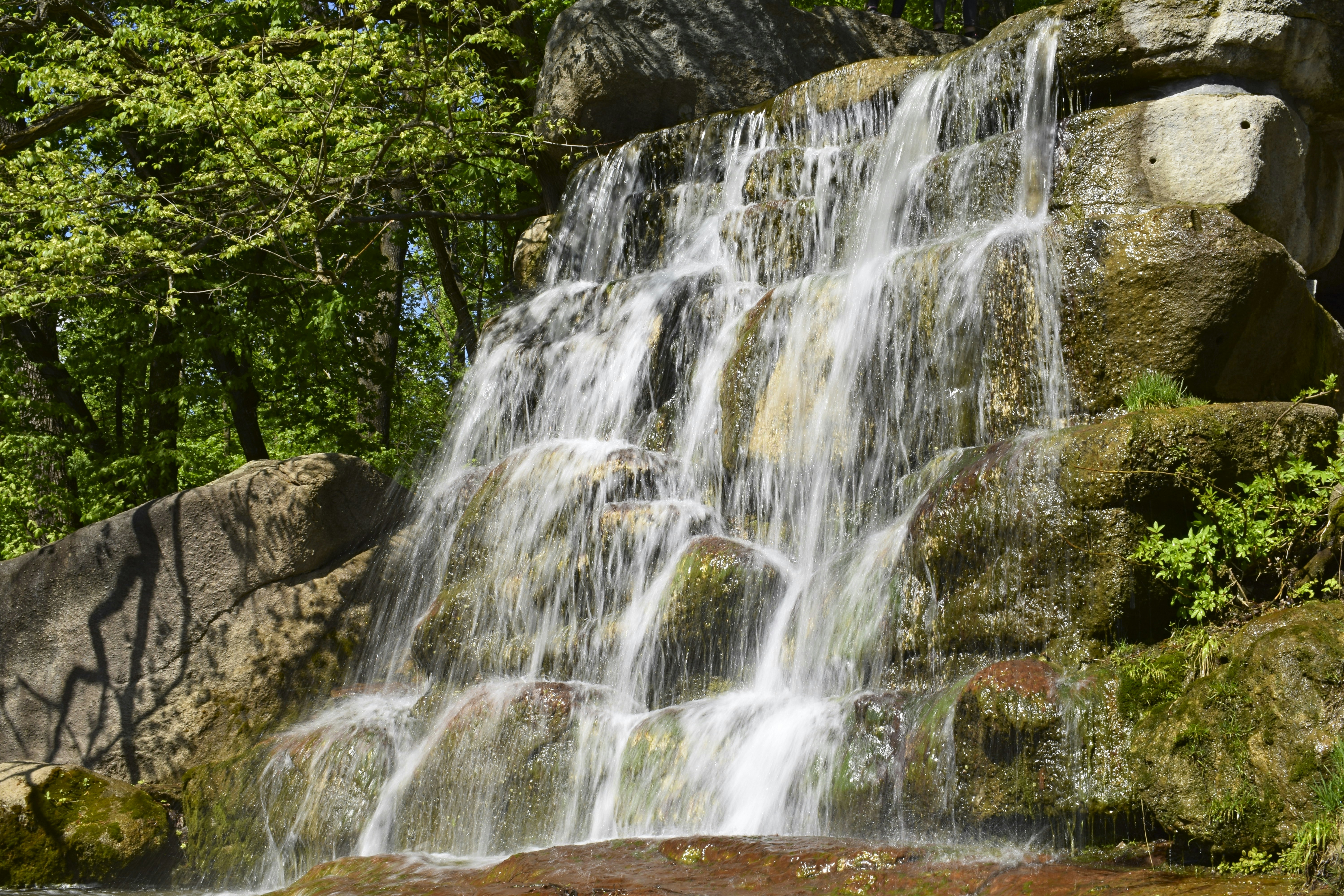 Photo by kostiantynvierkieiev