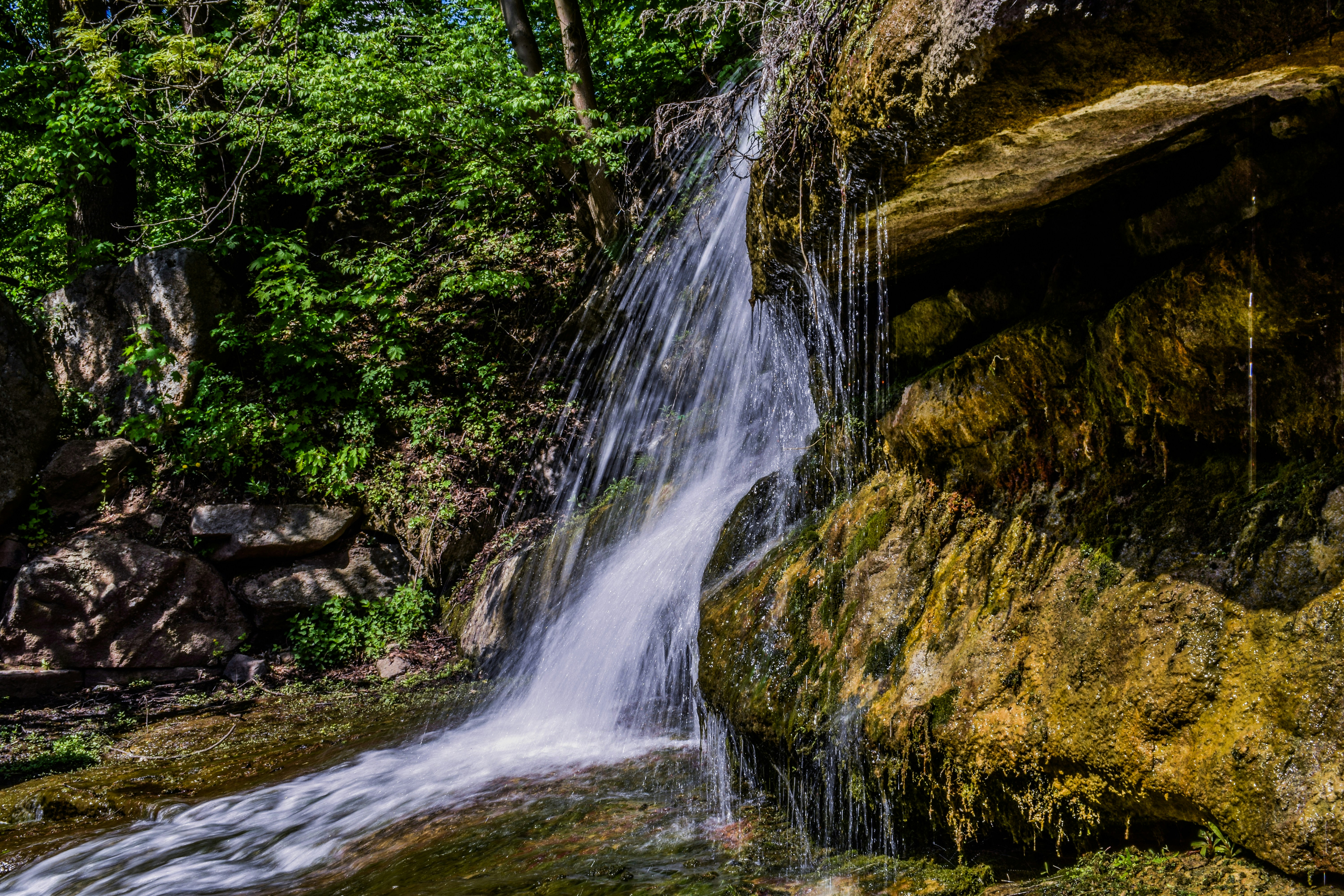 Photo by kostiantynvierkieiev