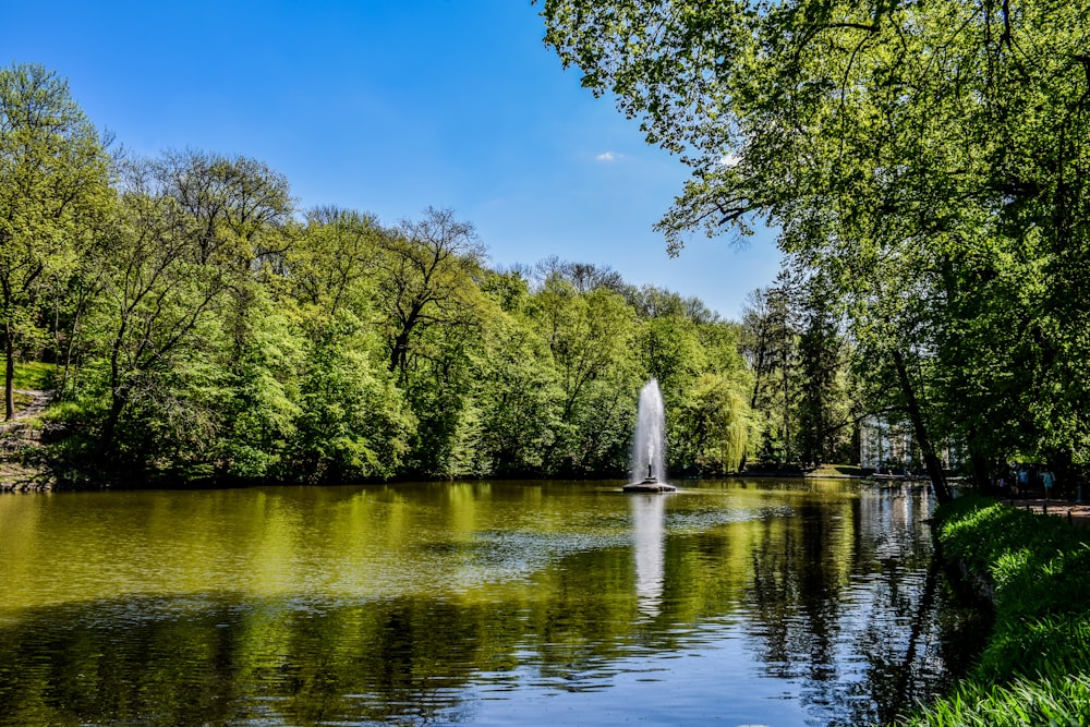 a pond with a fountain surrounded by trees