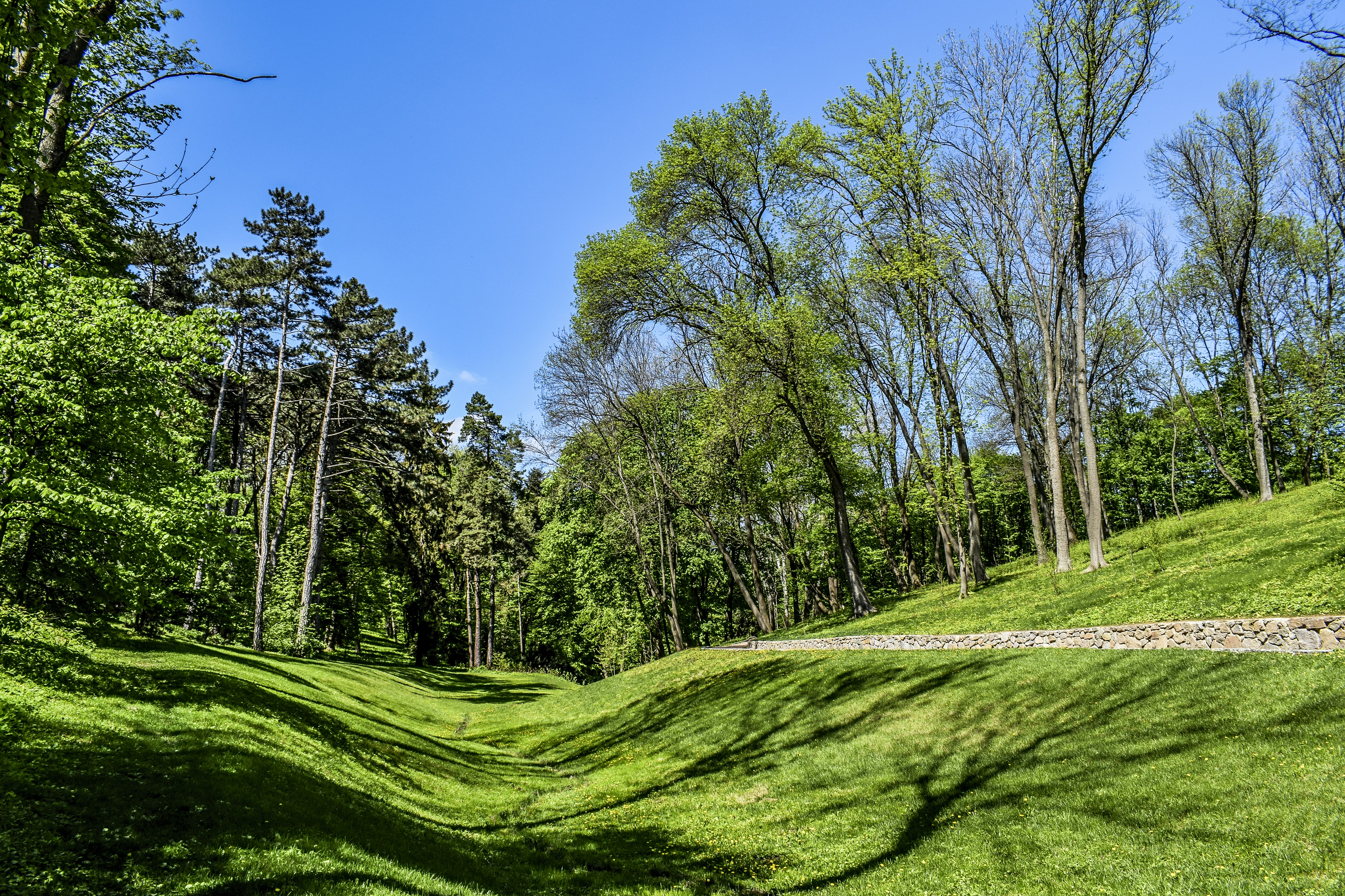 Photo by kostiantynvierkieiev