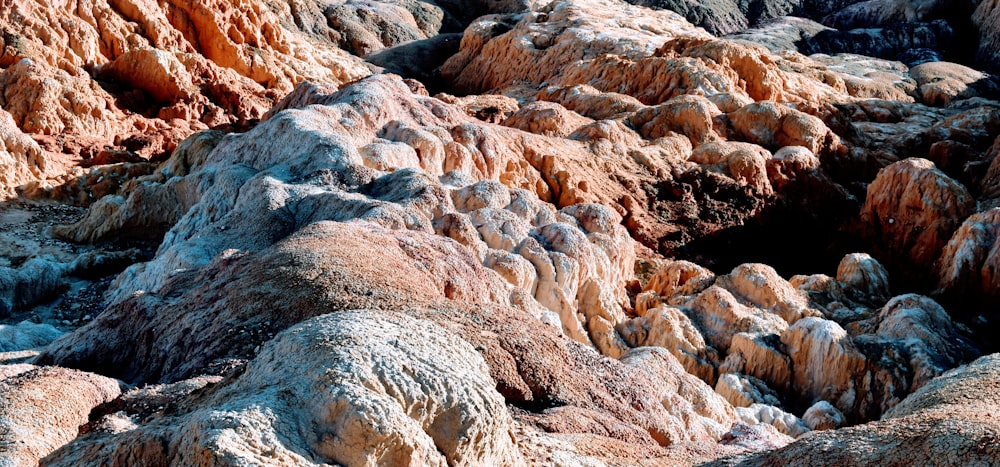 a group of rocks that are in the dirt