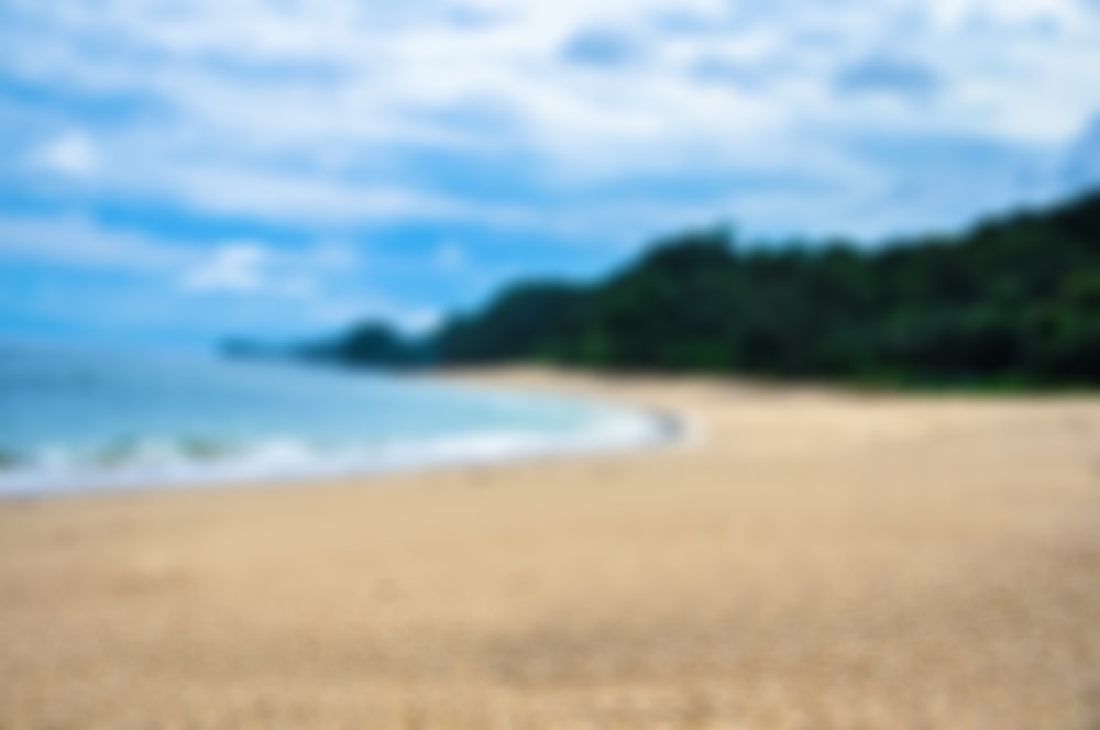 une photo floue d’une plage avec des arbres en arrière-plan