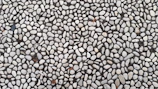 Hands spreading resin over a bed of small stones during the stone carpet installation process.