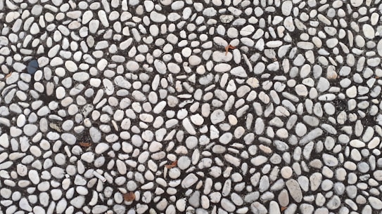 A textured surface composed of numerous small, smooth, white stones embedded in a dark grey concrete-like material. The stones are irregular in shape and size, creating a mosaic pattern.