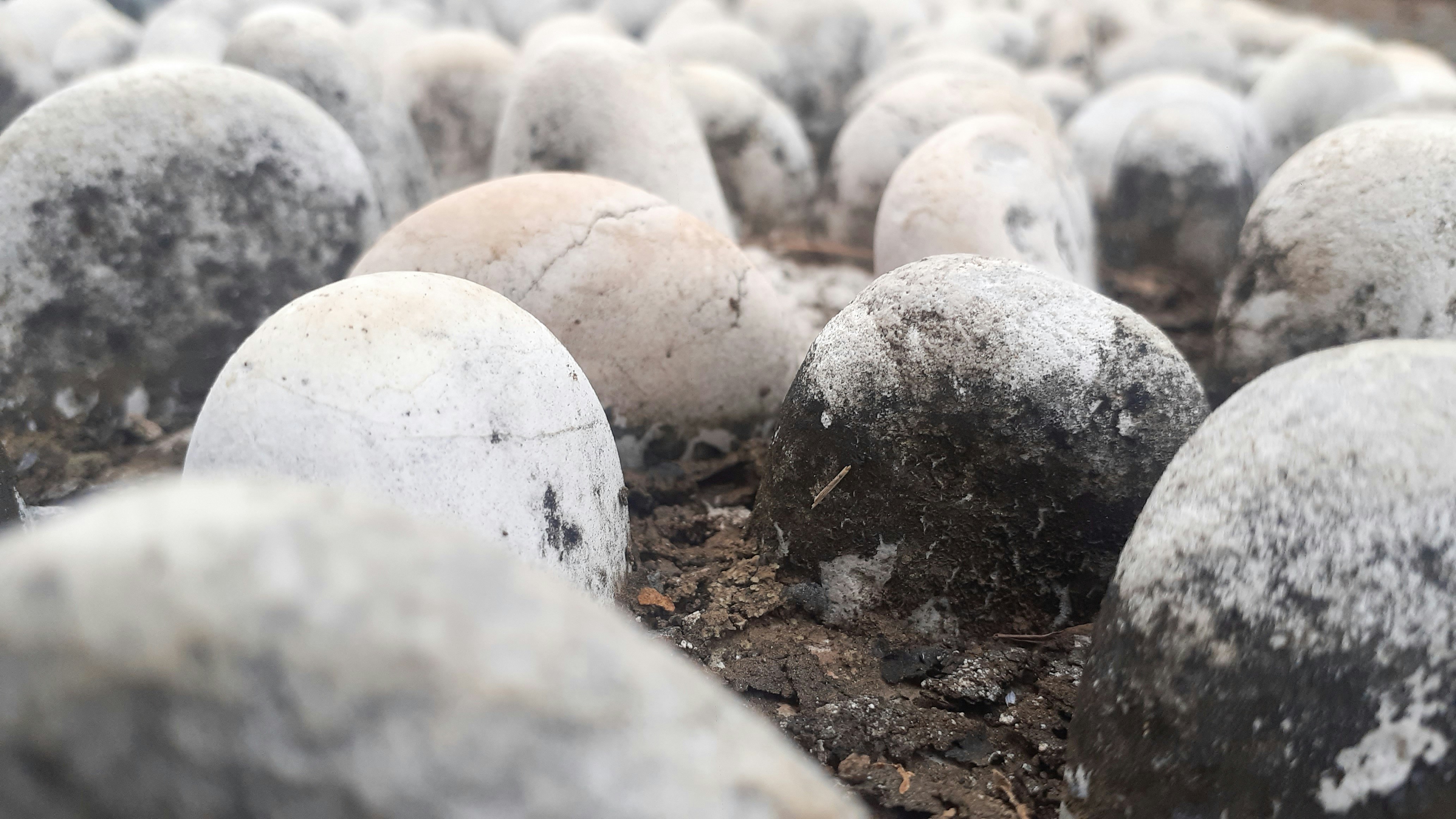 a bunch of rocks that are covered in snow