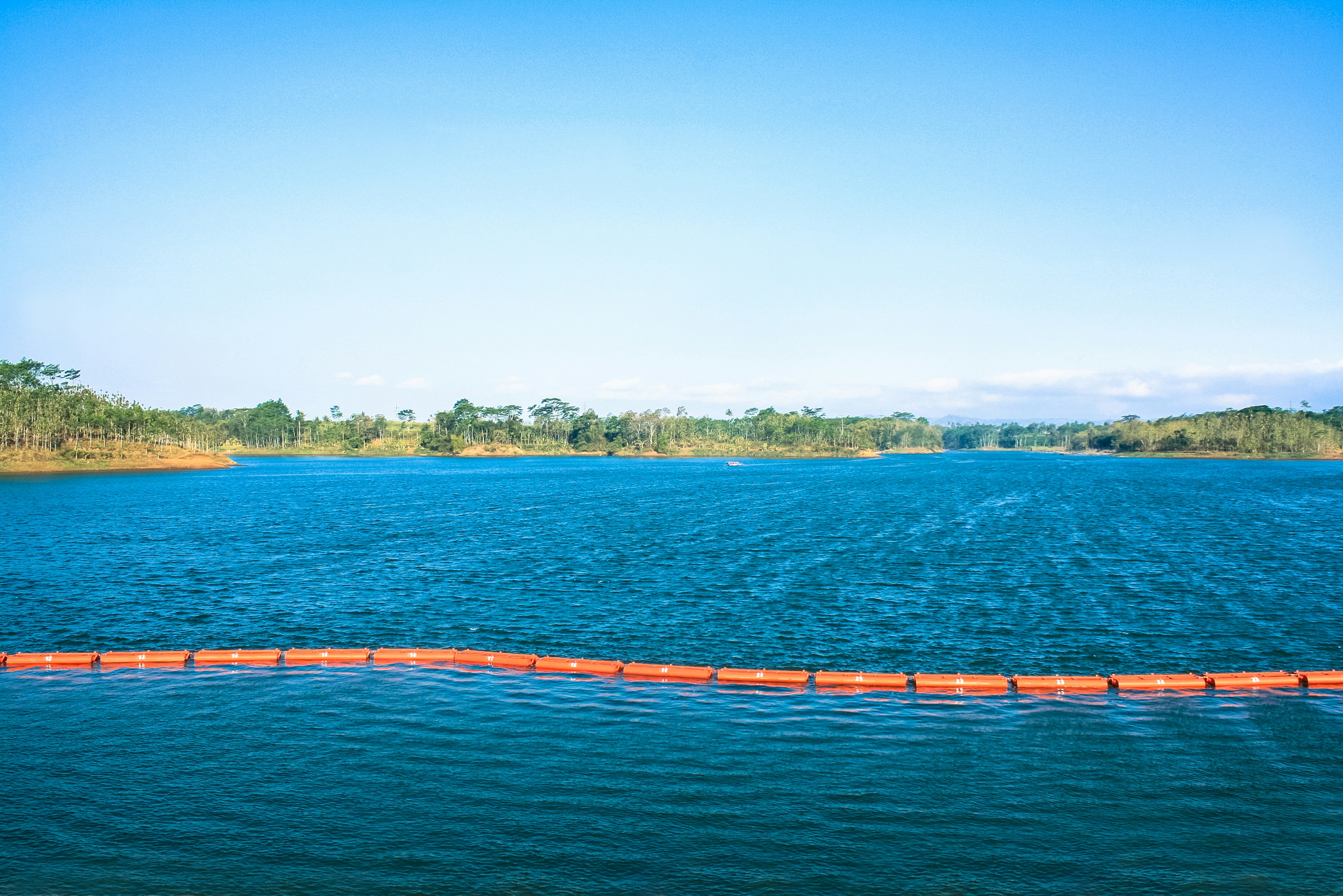 a large body of water surrounded by trees