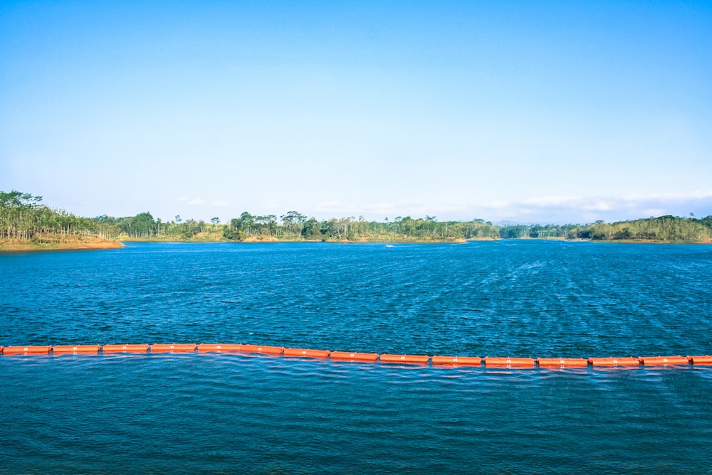 a large body of water surrounded by trees