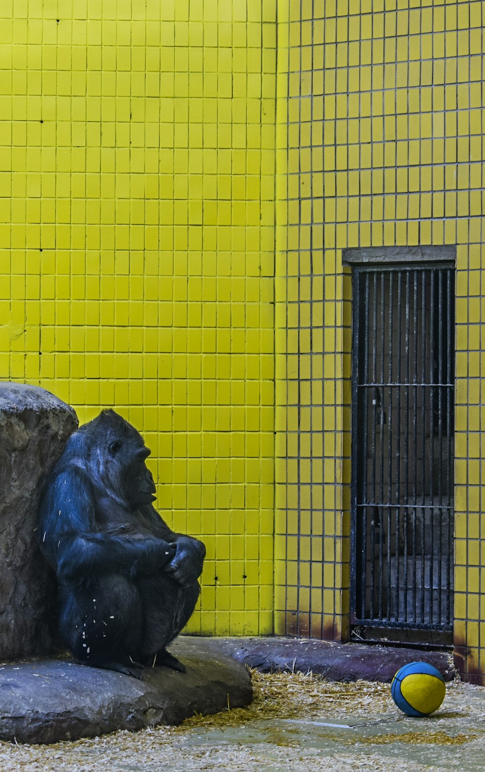 a statue of a gorilla sitting on a rock next to a ball