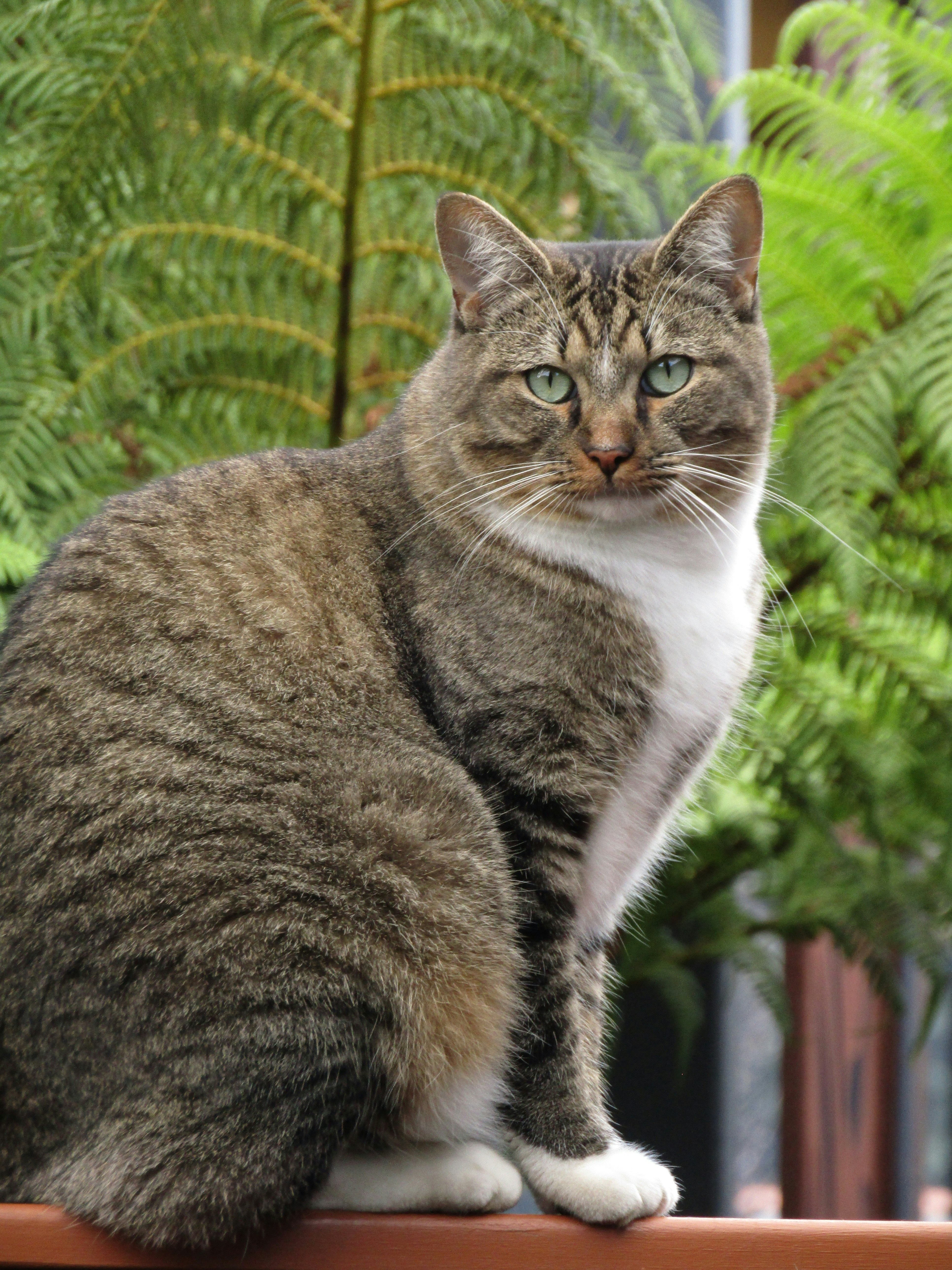 Photo by katiealexandra