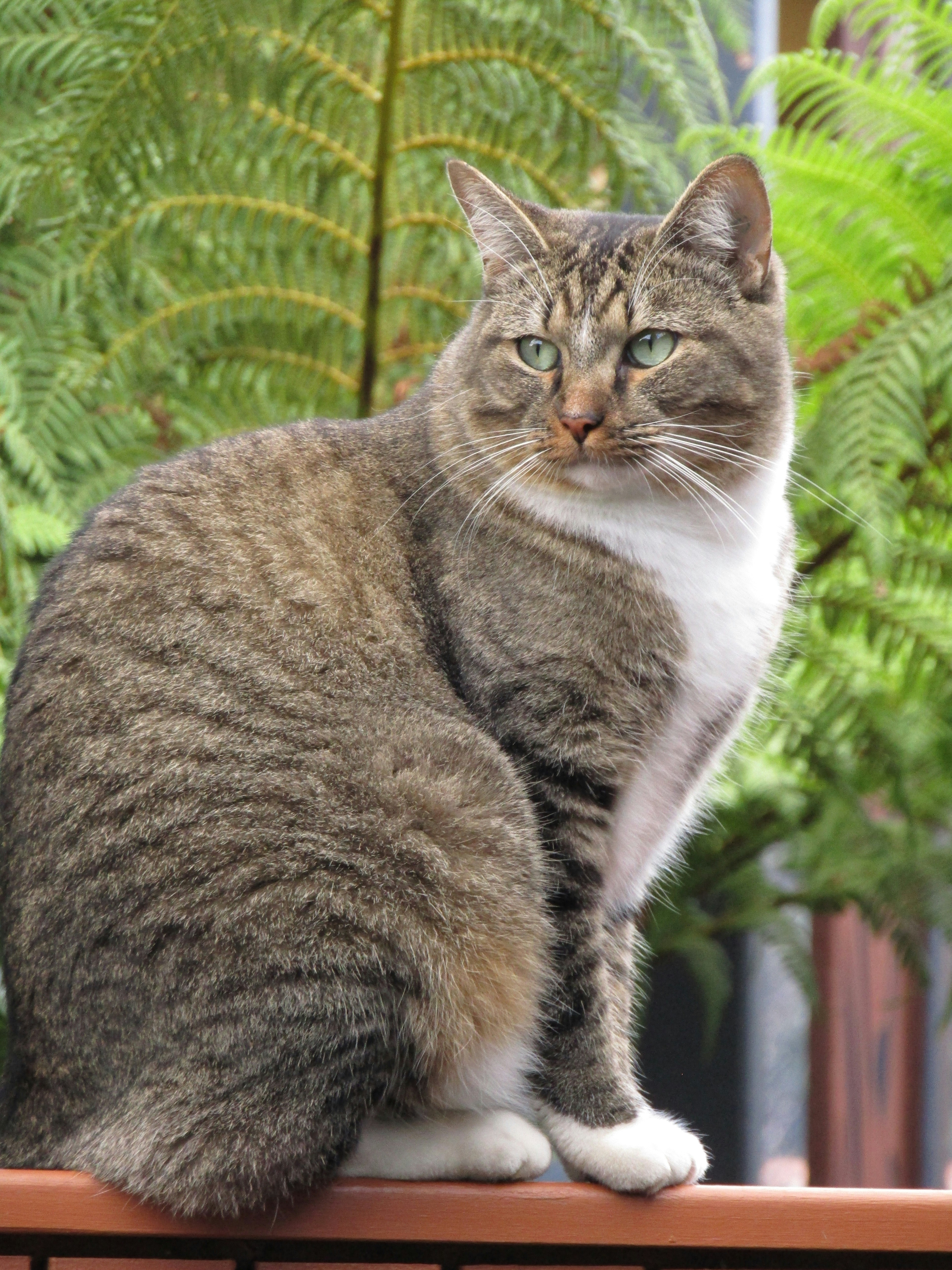 Photo by katiealexandra